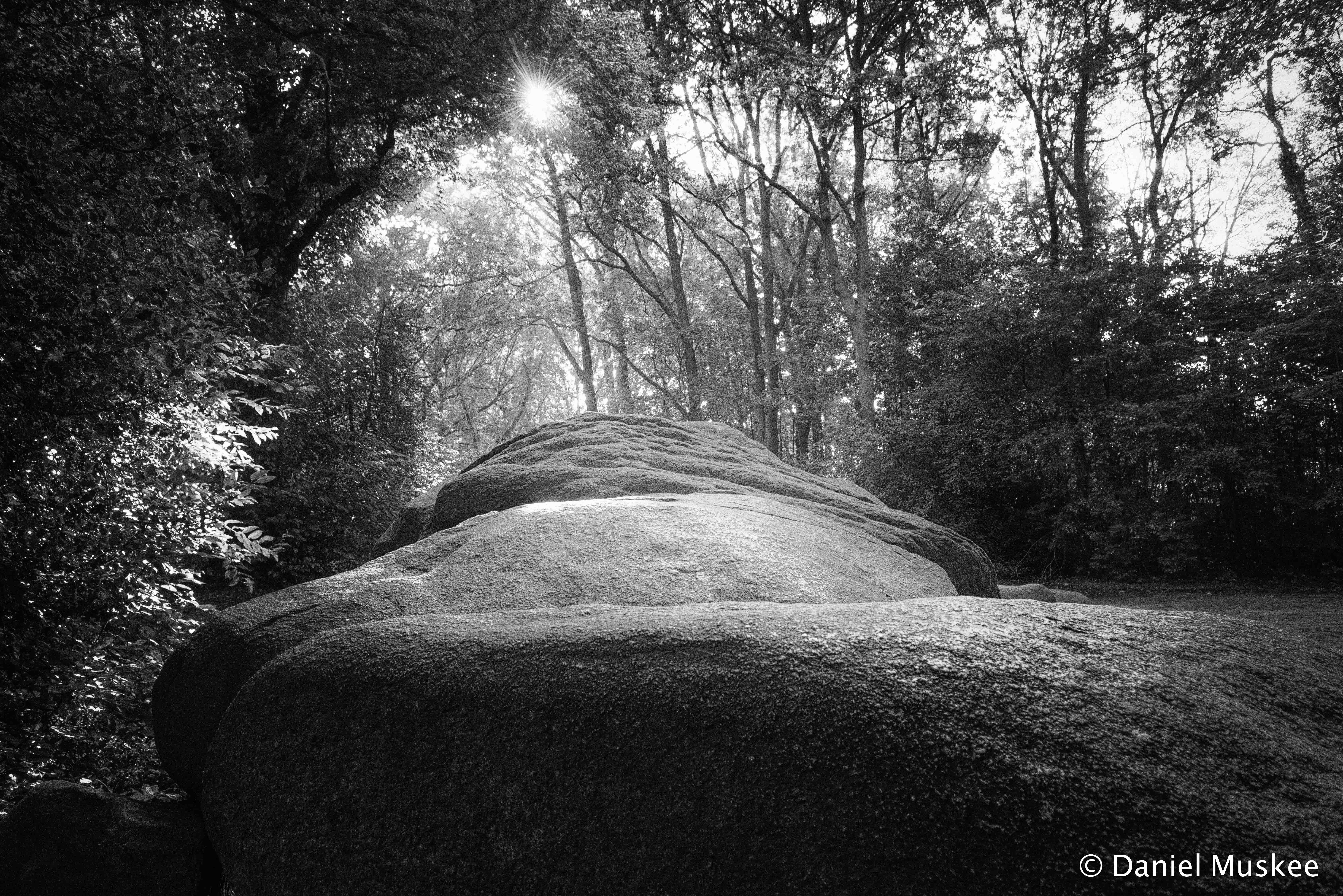 het-grootste-hunebed-van-nederland-in-het-zonnetje