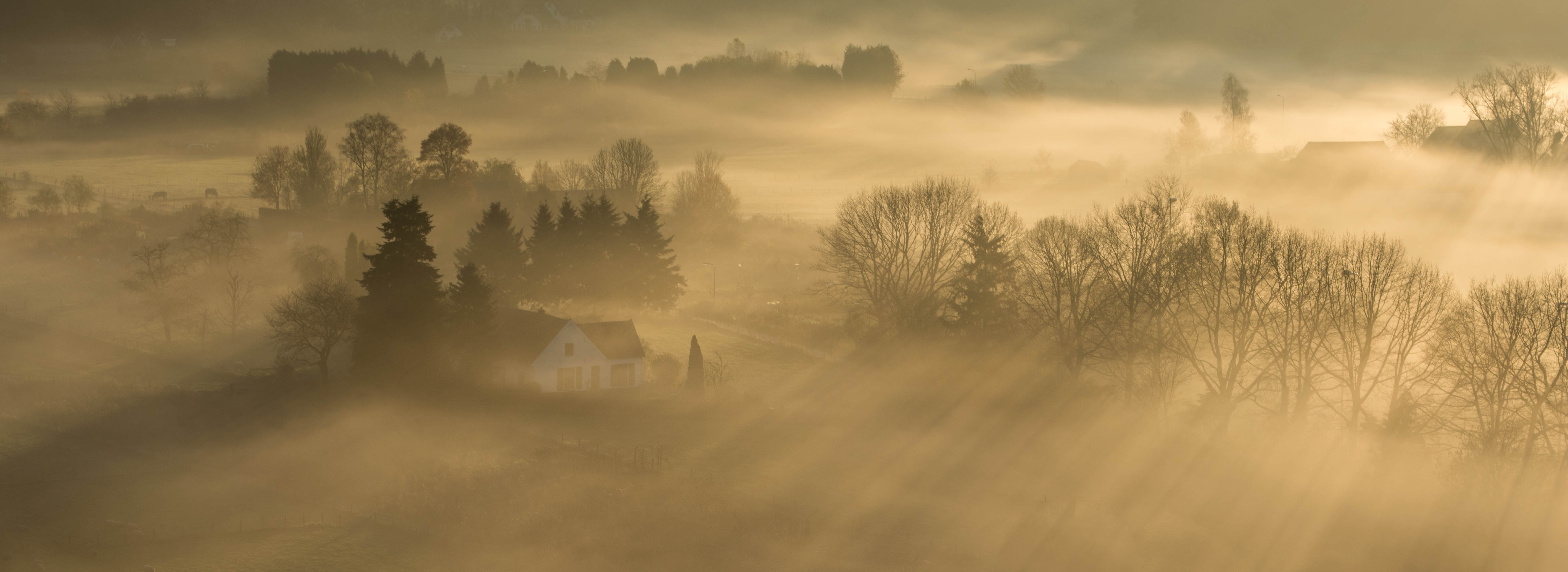 mist-op-de-wageningse-enk