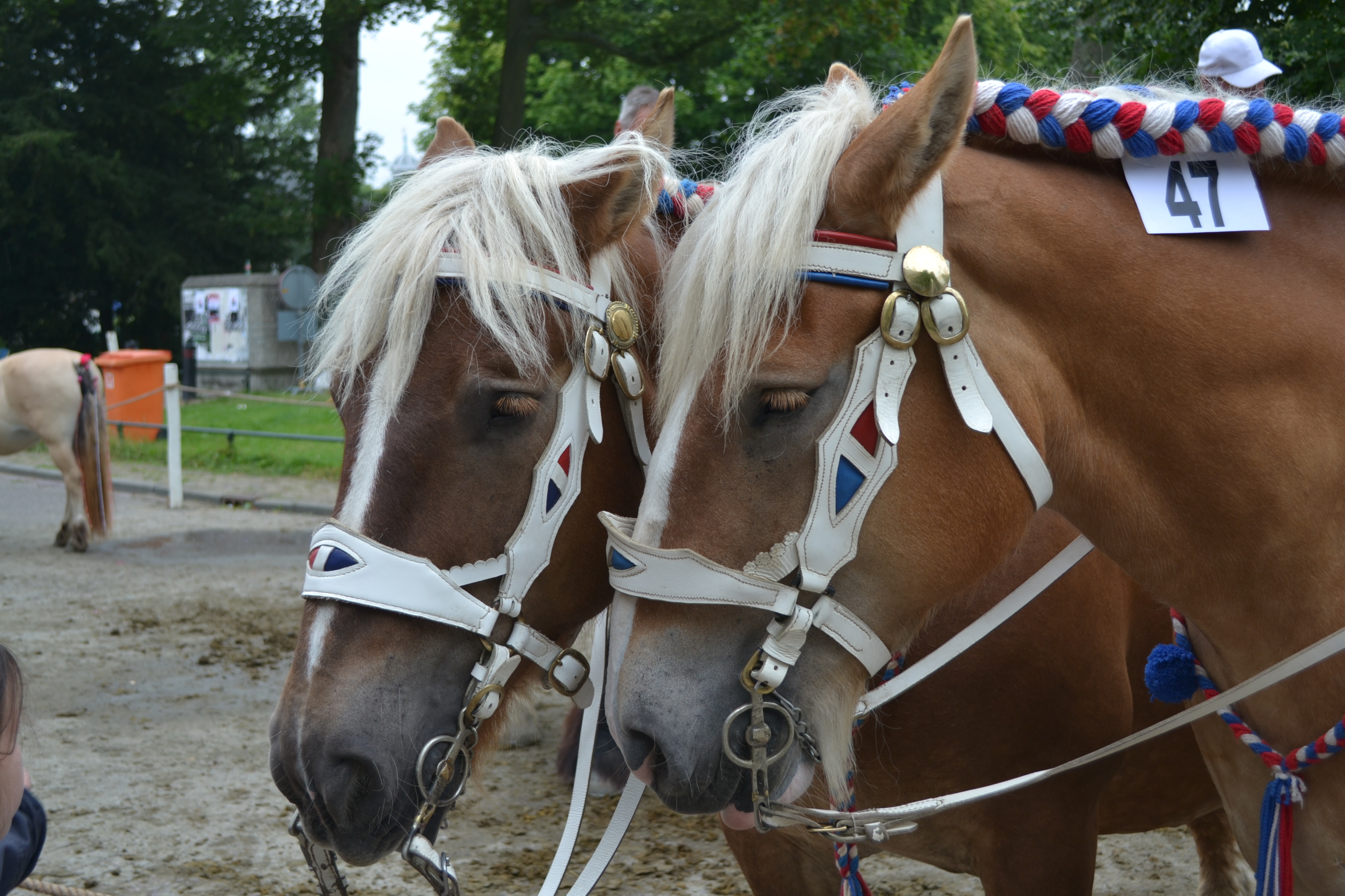 tweeling-rust-uit-bij-ringrijden