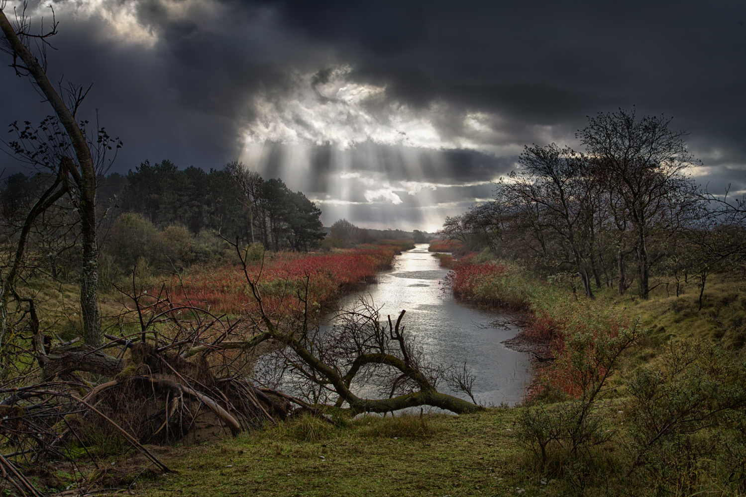 apr%C3%A8s-nous-la-d%C3%A9luge