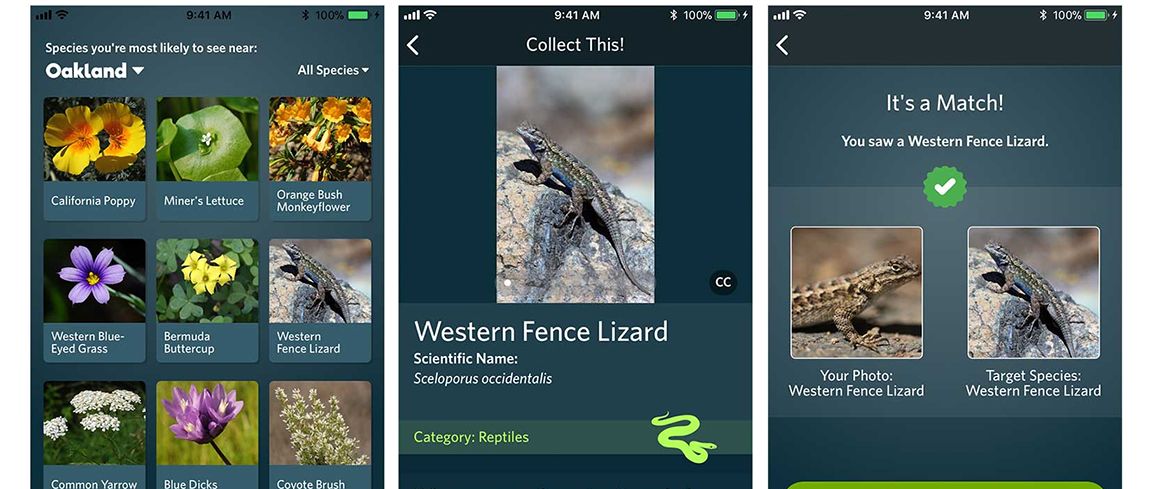 app-herkent-planten-en-dieren