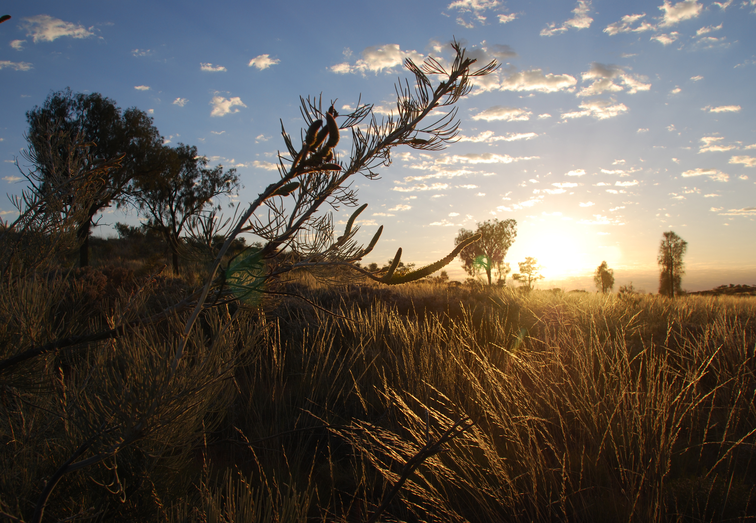 zonsopkomst-bij-uluru
