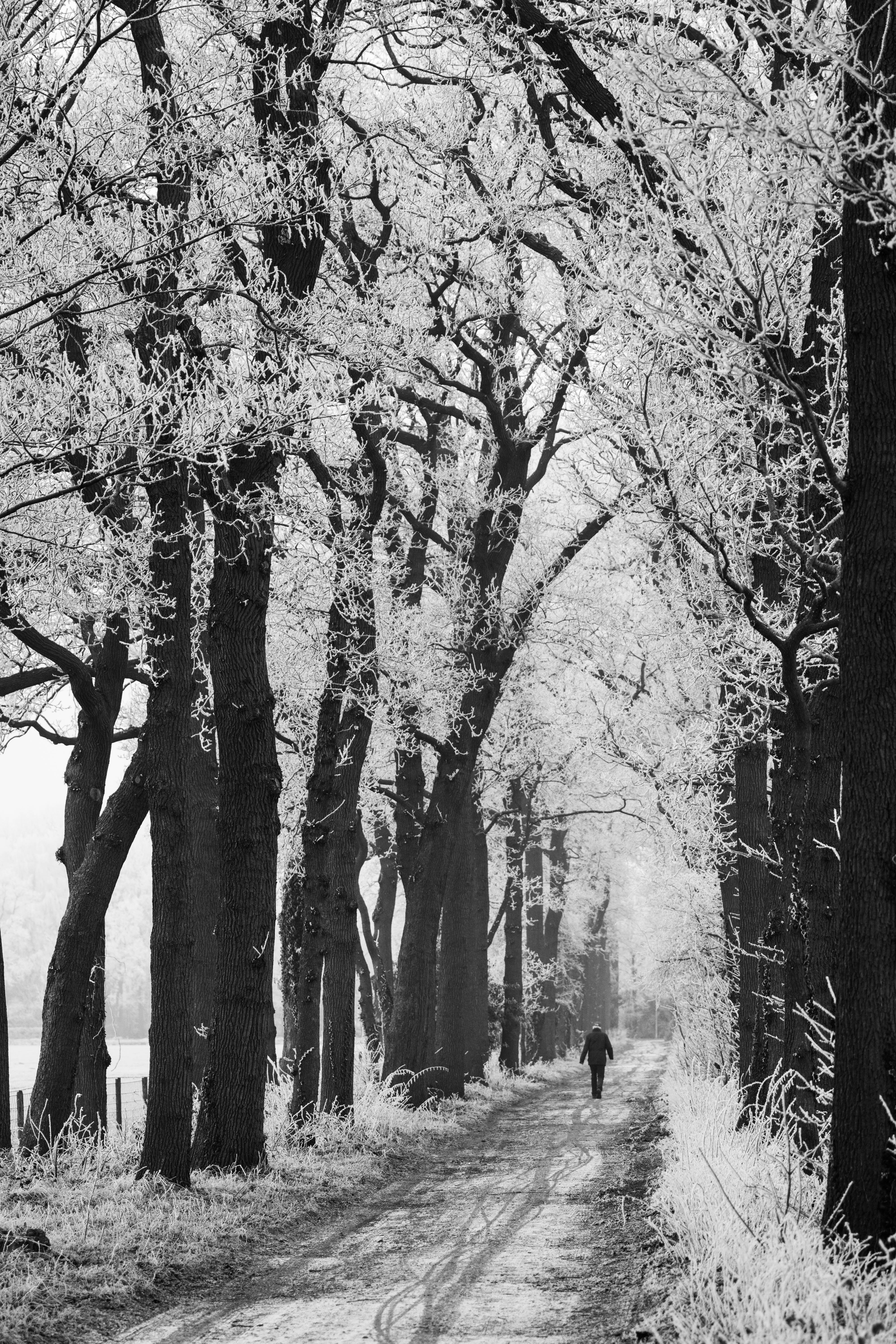 een-koude-wandeltocht