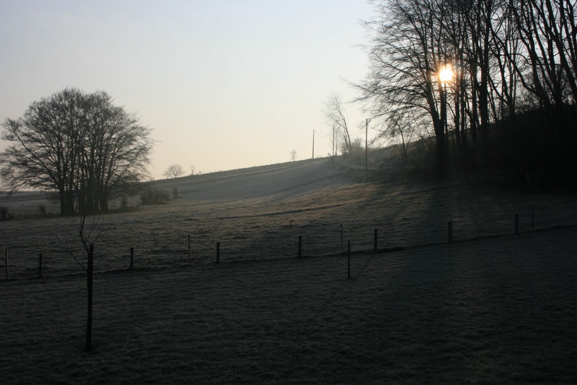 la-roche-en-ardenne-hives-2-0