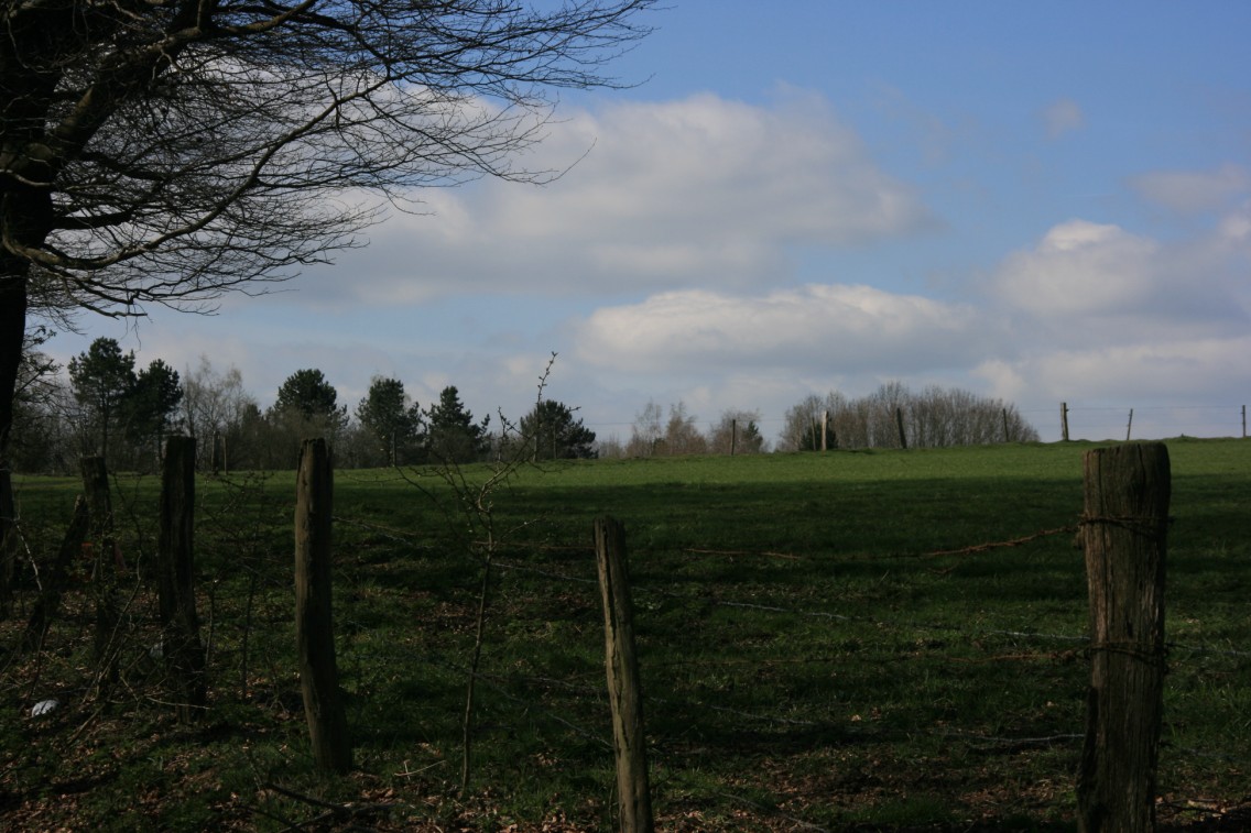 la-roche-en-ardenne-hives-0