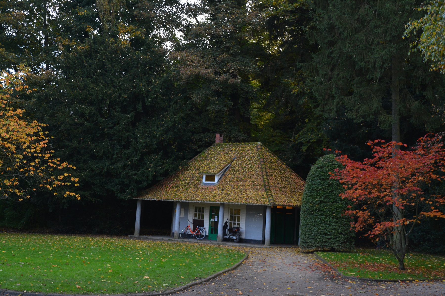 huisje-in-park