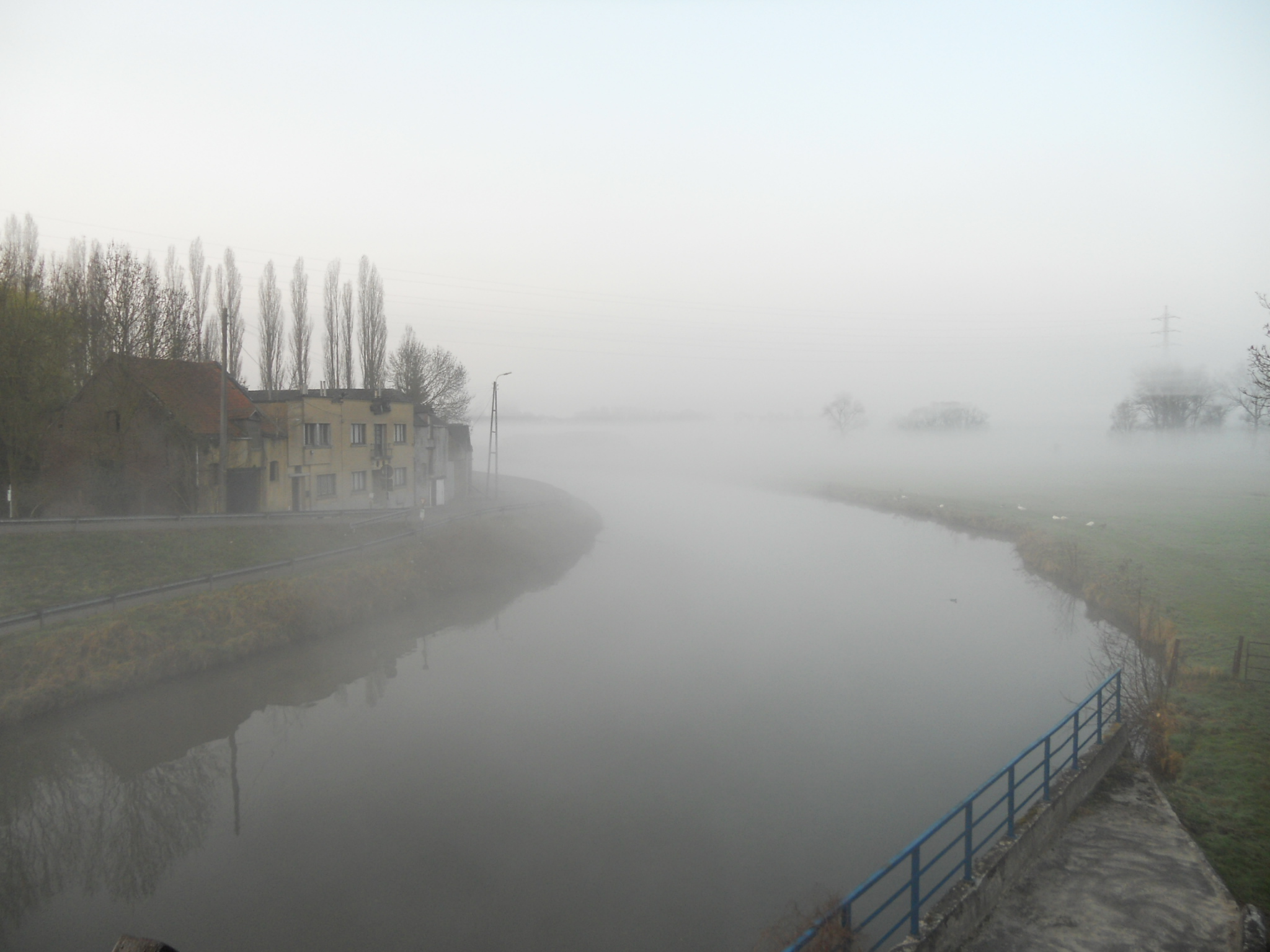 okegem-in-de-mist-2