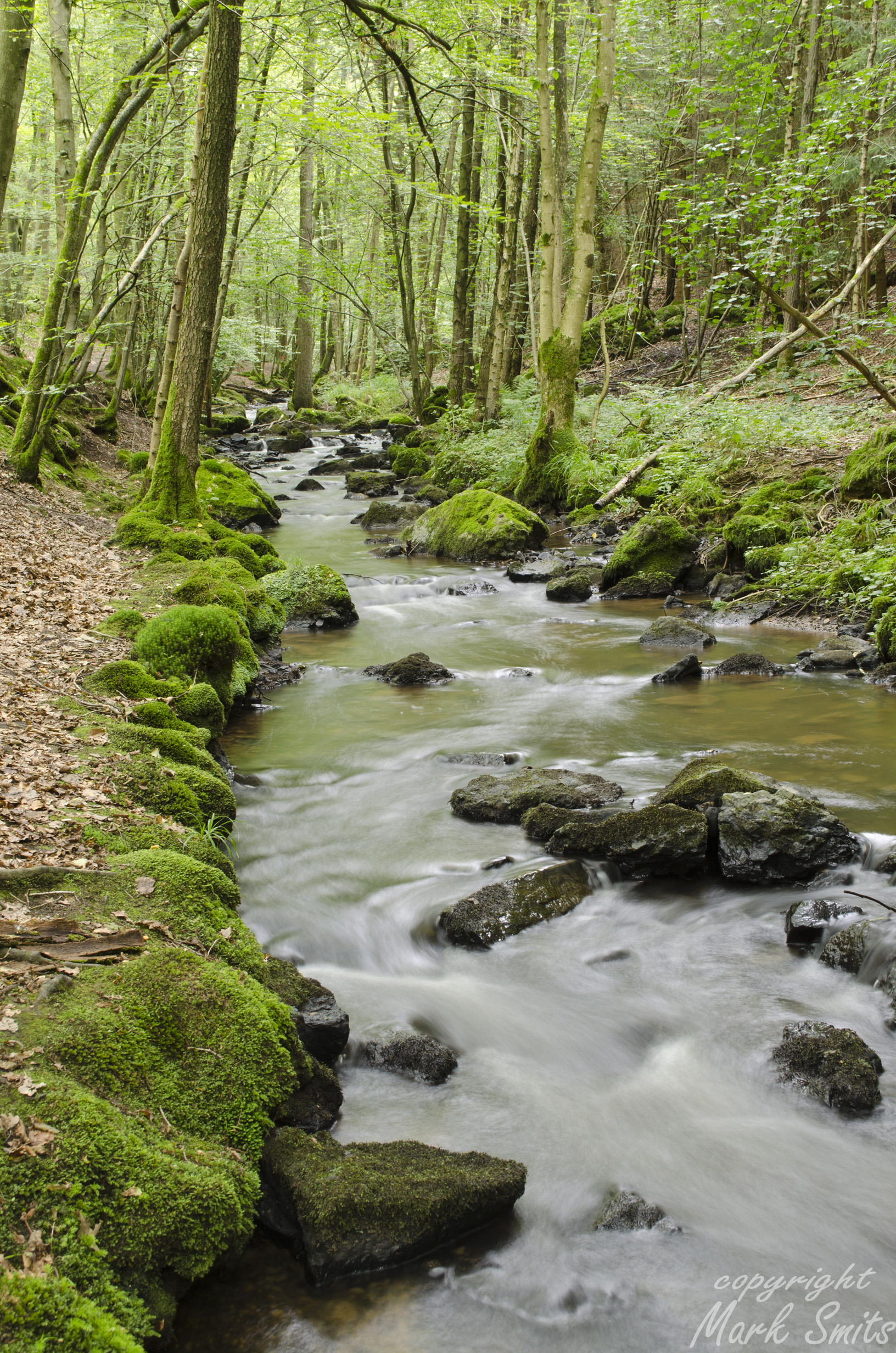 beekje-in-ardennen