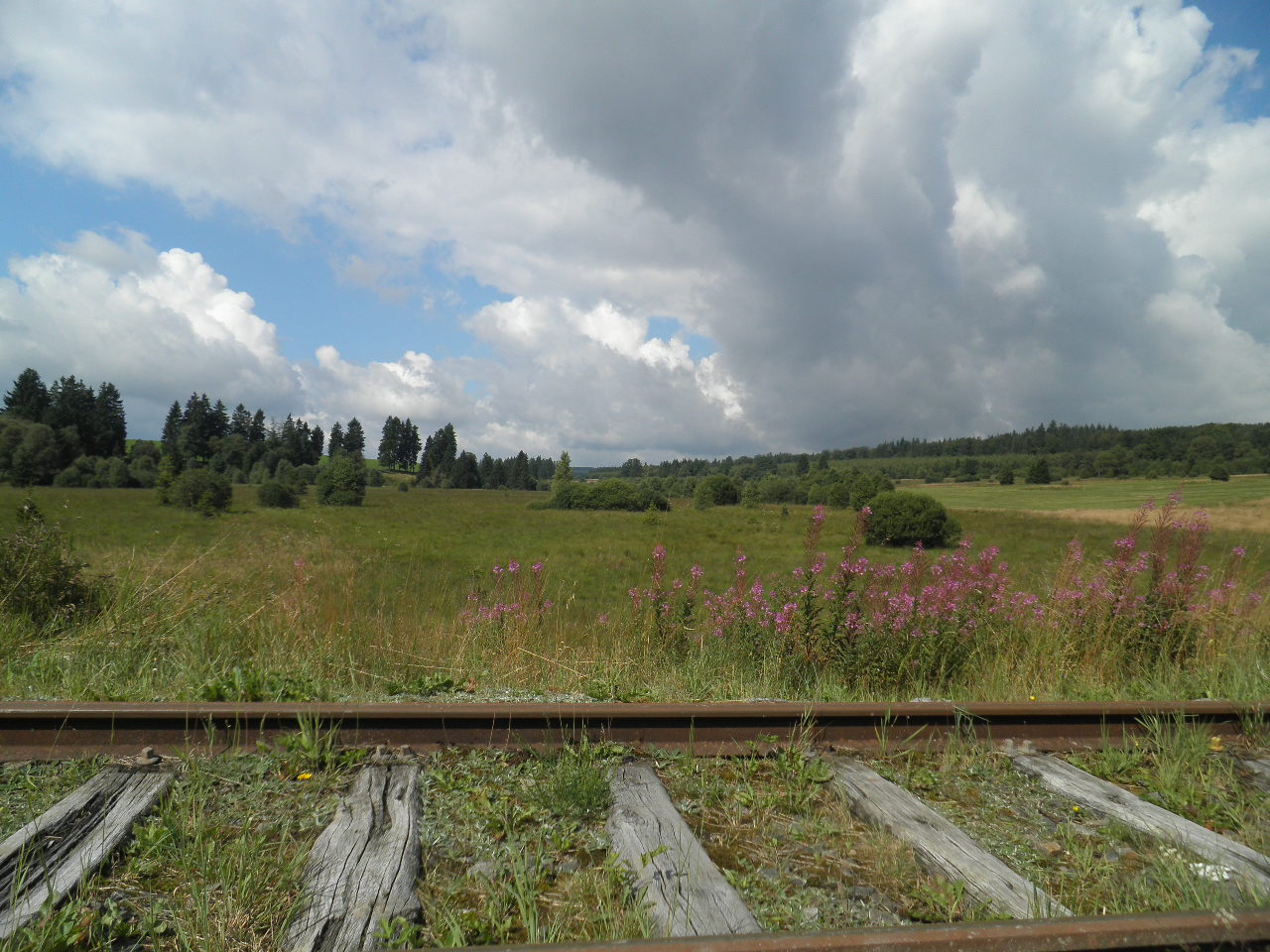 hoog-in-de-hoge-venen