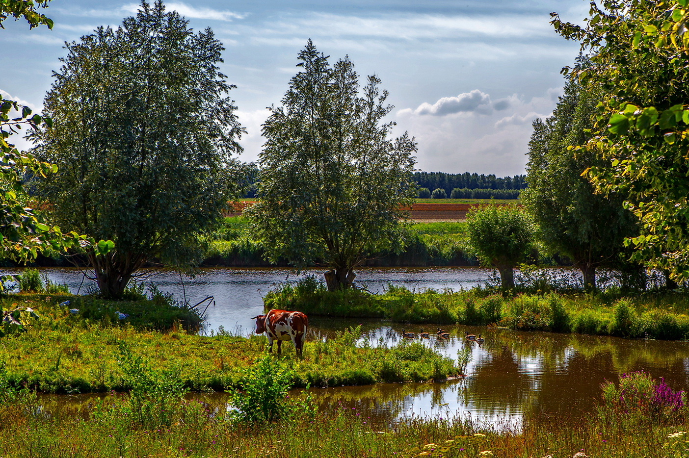 vlietdijk-steenbergen-nl