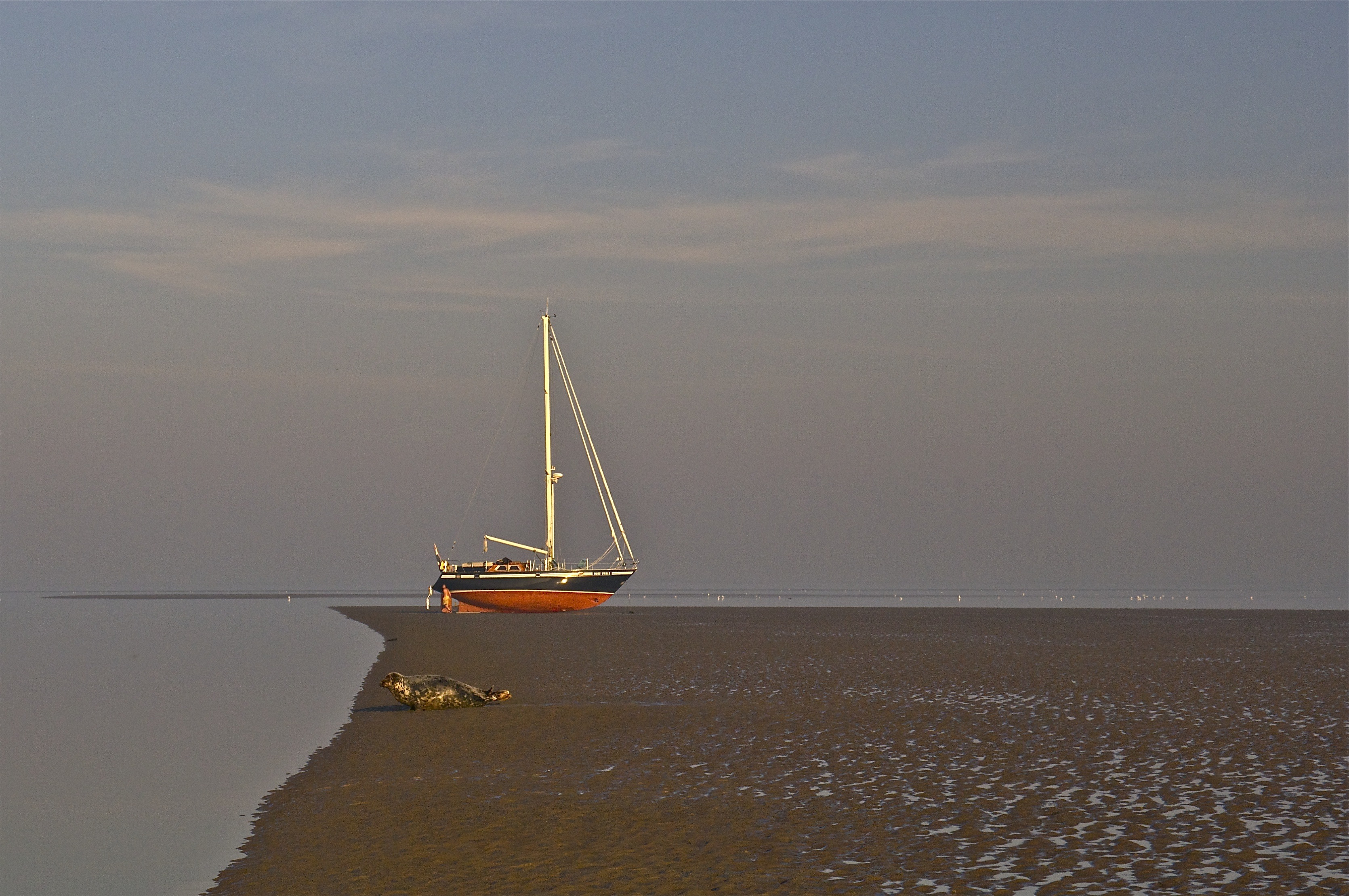 droogvallen-op-het-wad
