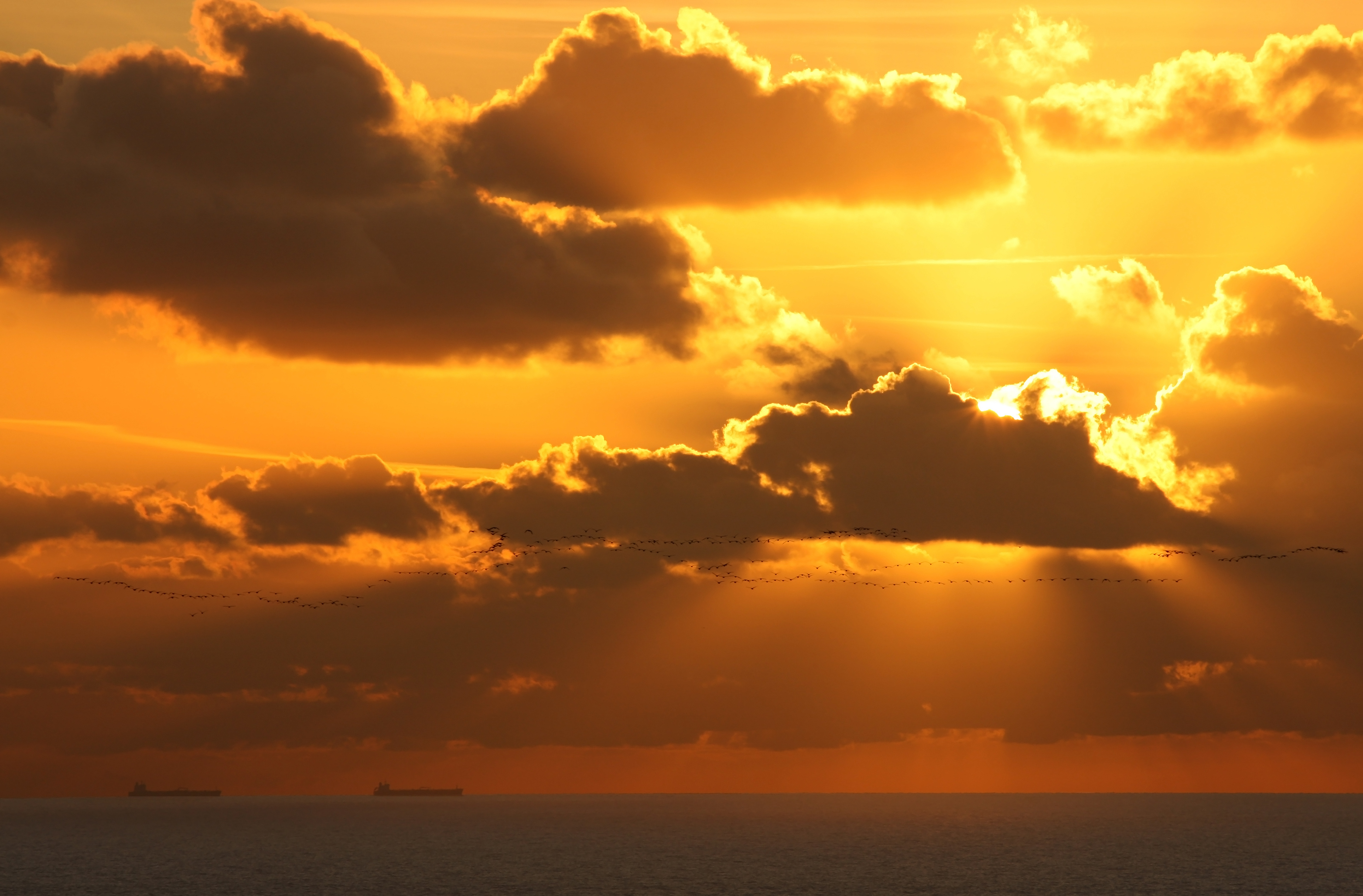 boats-and-birds-in-an-orange-glow