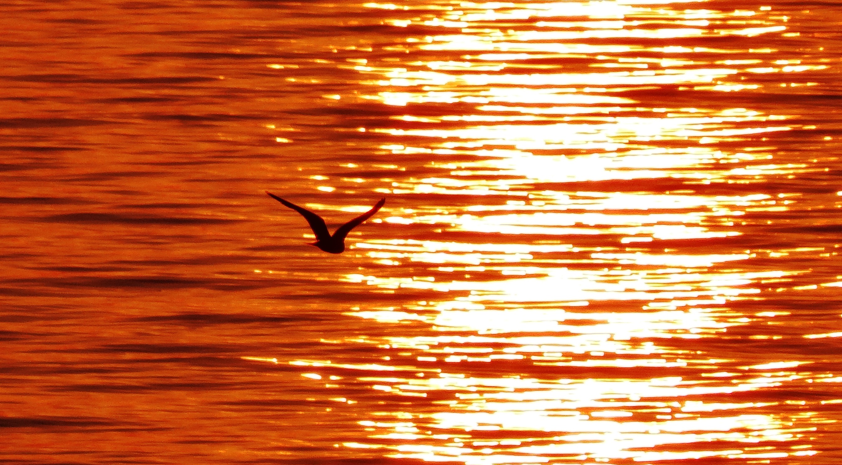 zonsondergang-in-de-oostzee