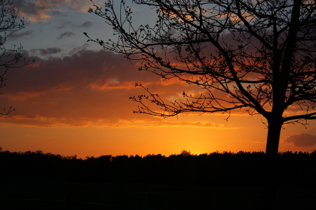 zonsondergang-otterloo