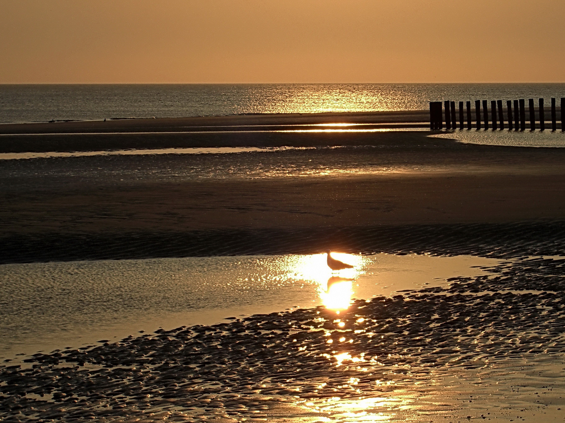zonsondergang-in-zeeland
