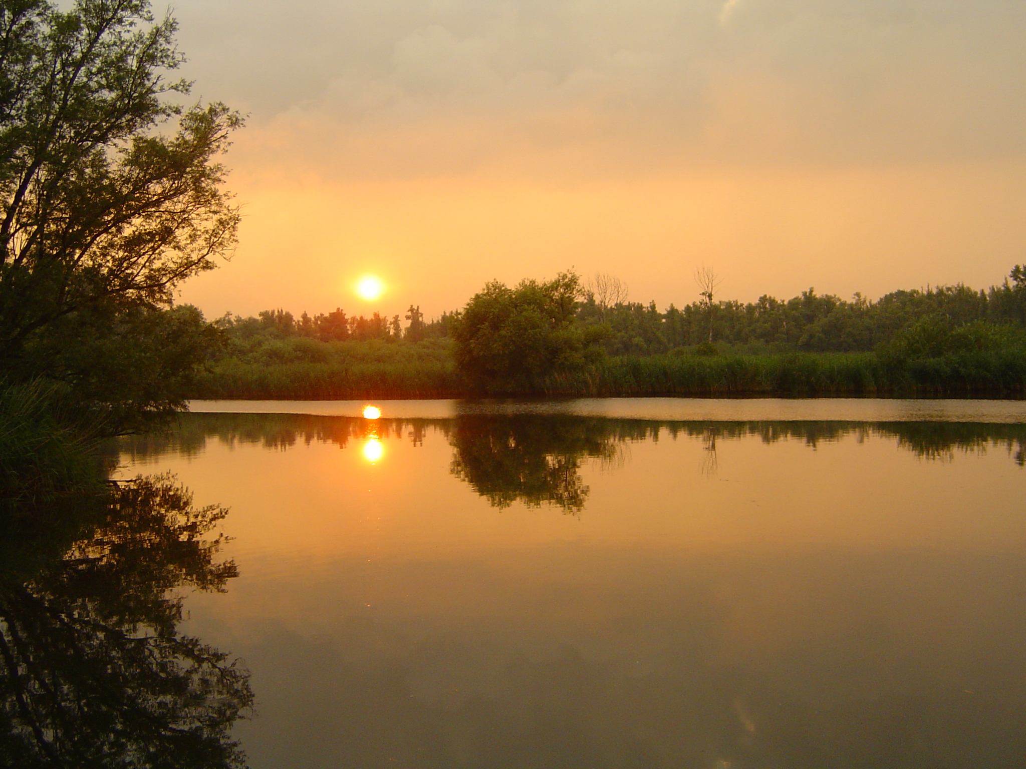 zonsondergang-in-de-brabantsche-biesbosch