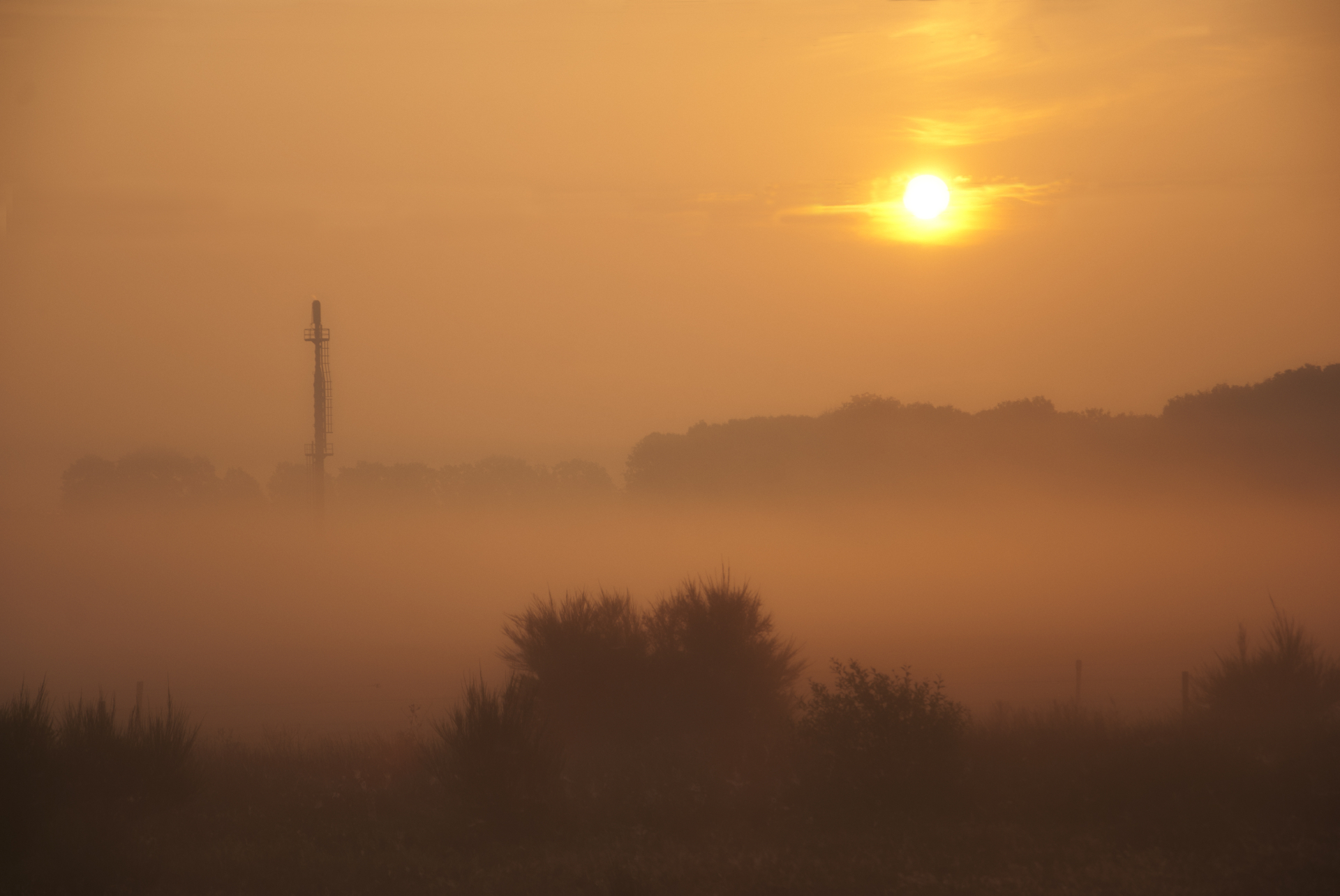 foggy-sunrise-1
