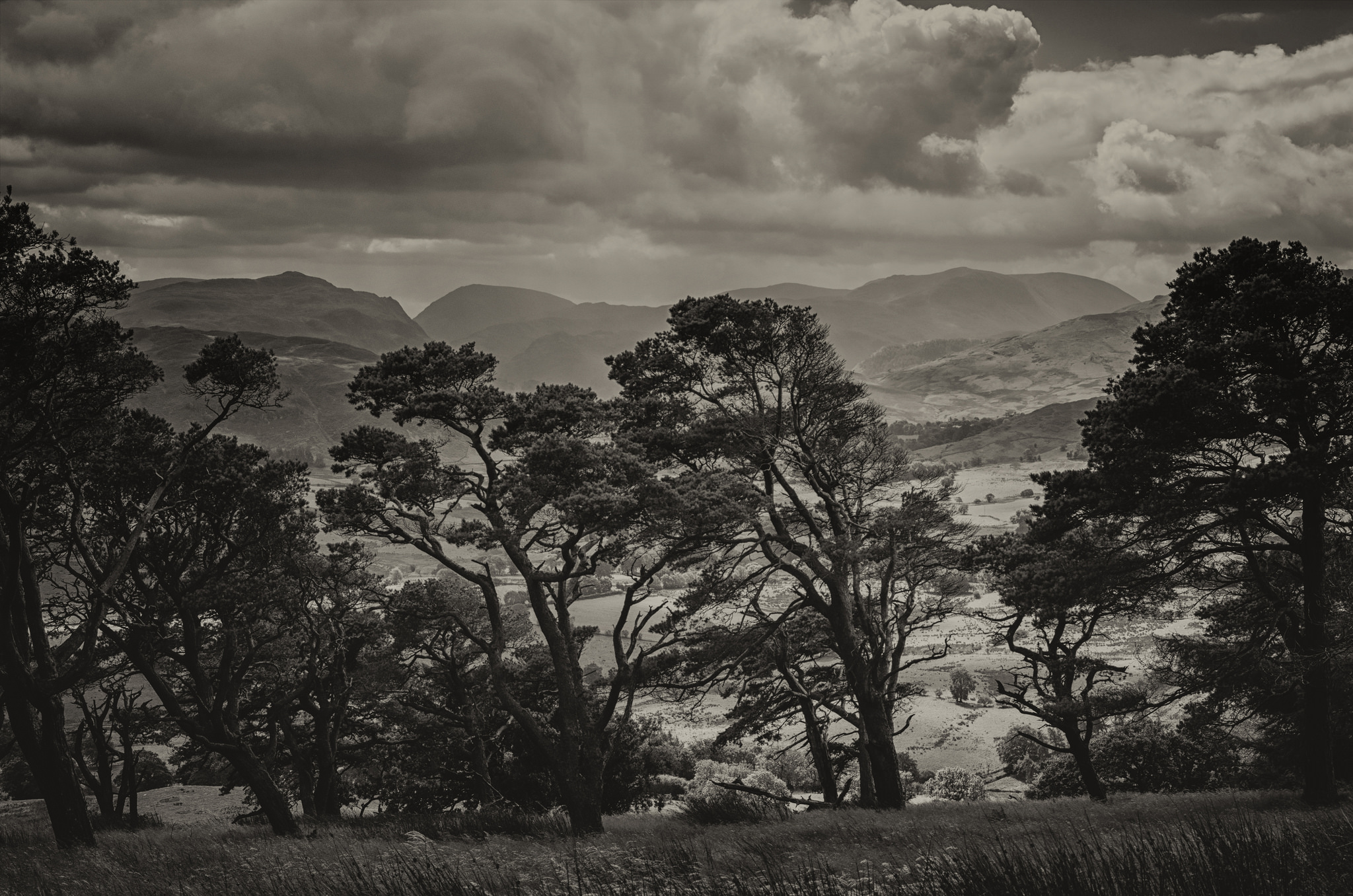 matterdale-in-the-lake-district