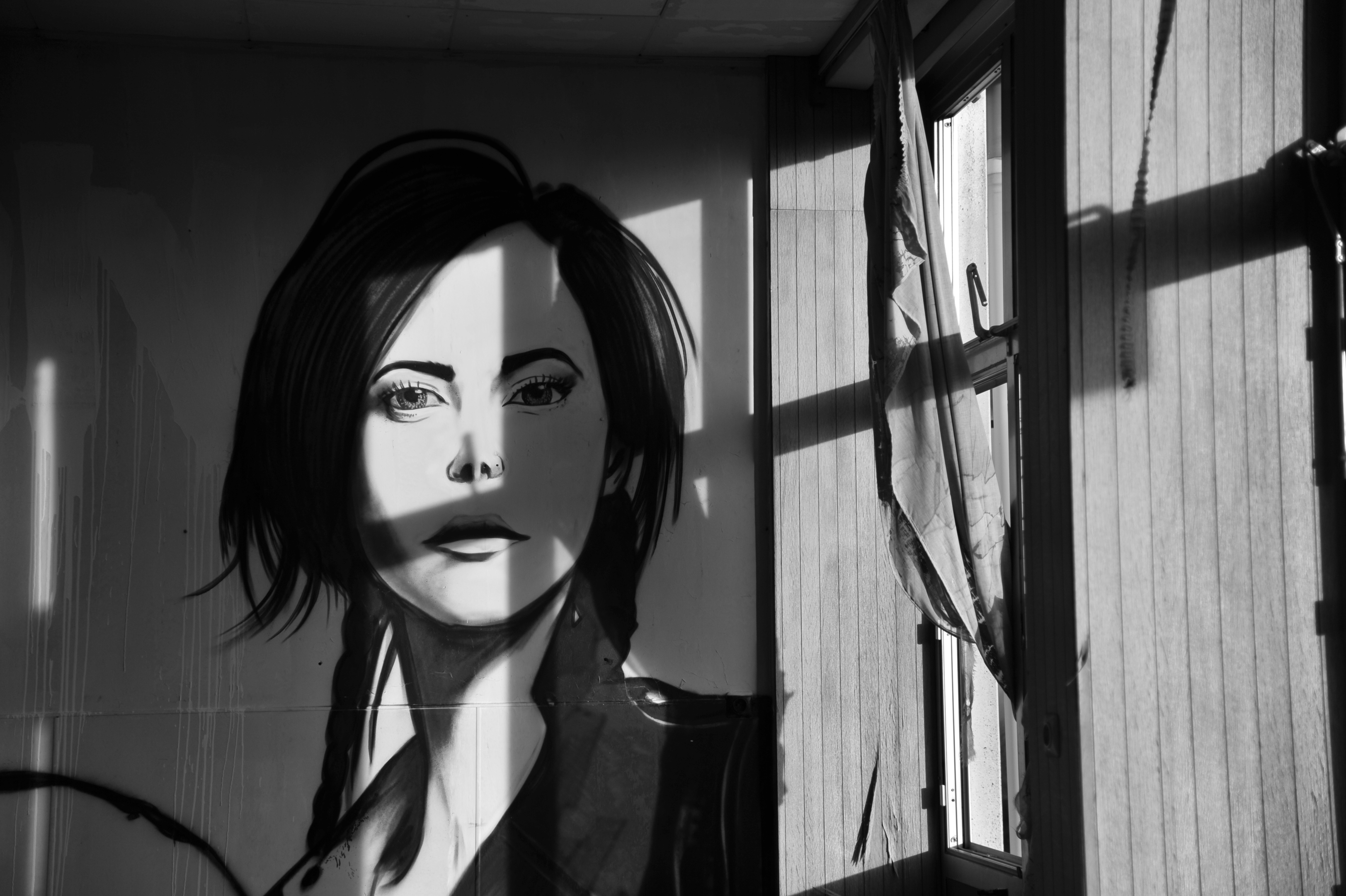 schoonheid-in-het-verval