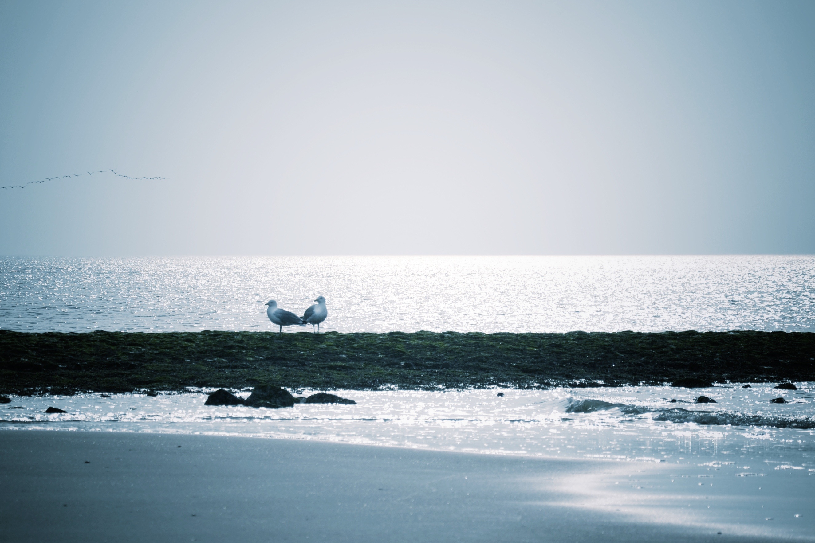 you-never-listen-to-me