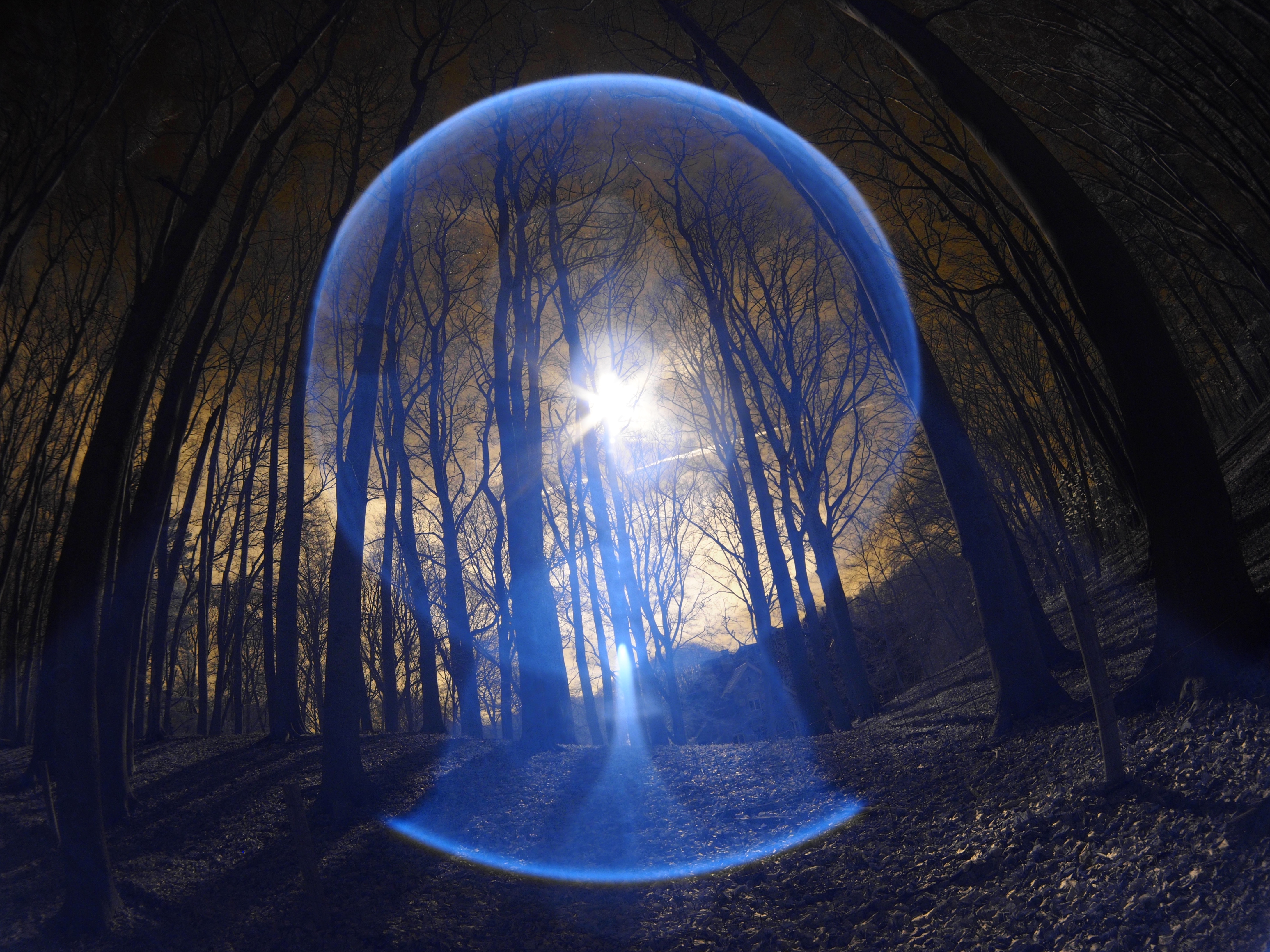 alien-encounter