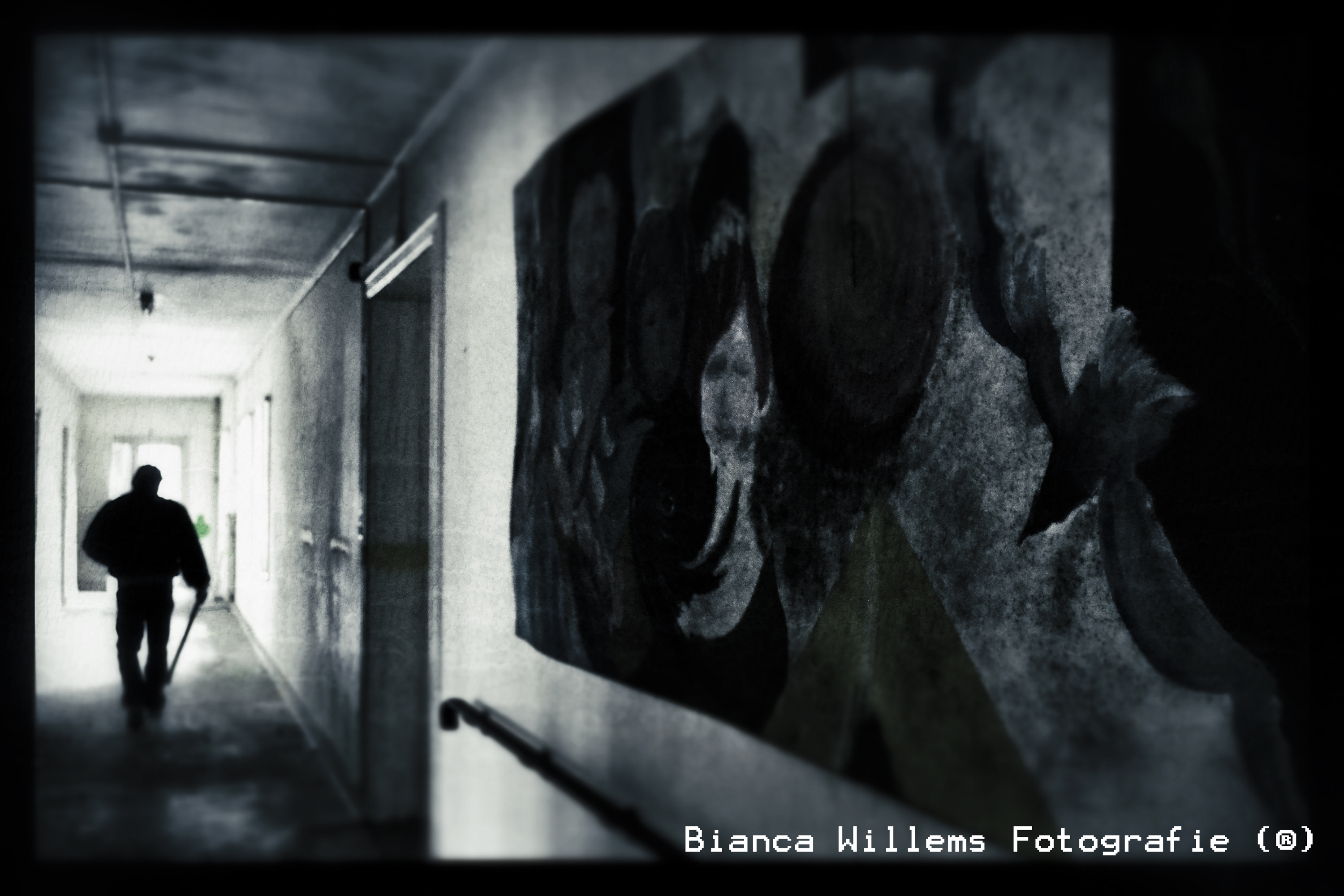 walking-towards-freedom