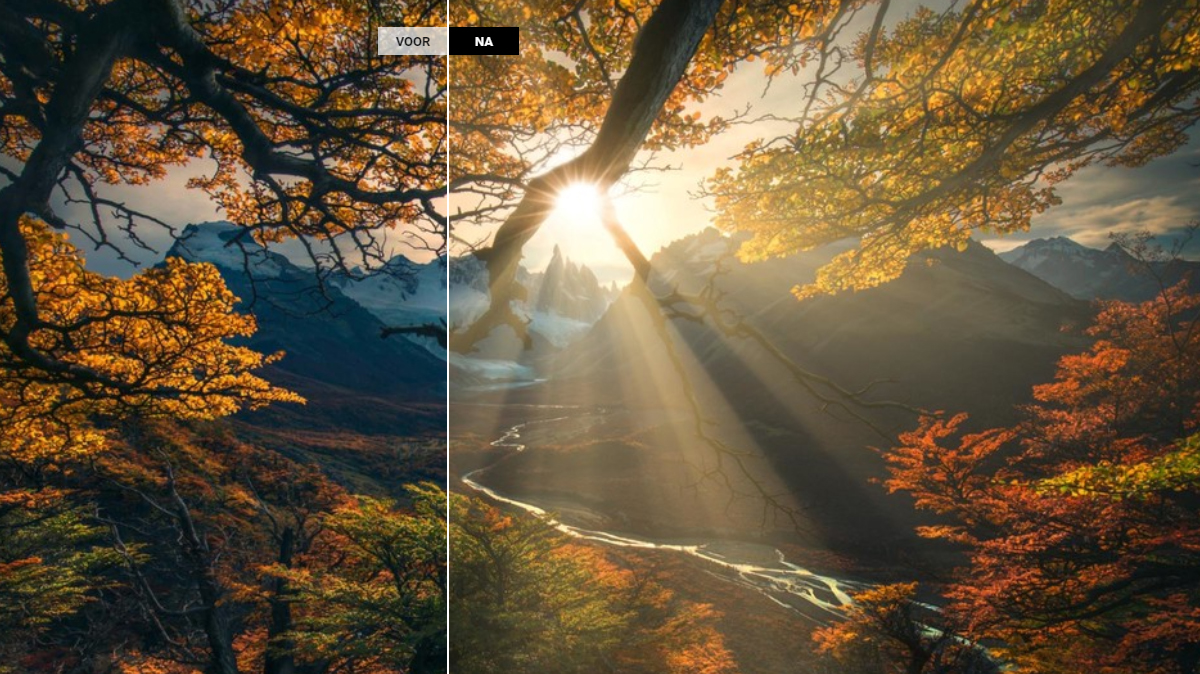 deze-software-maakt-je-fotos-100-perfect-met-hulp-van-ai