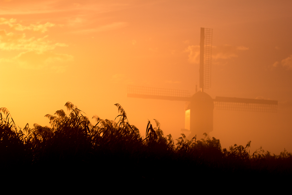 ochtendgloren-kinderdijk