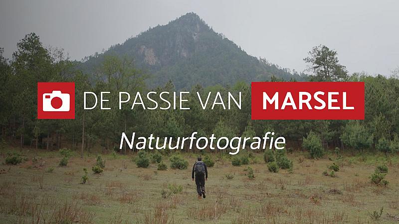 alles-over-natuurfotografie