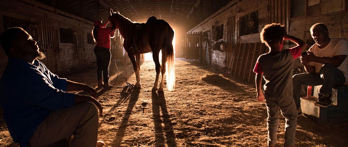 winnaar-zeiss-photography-award