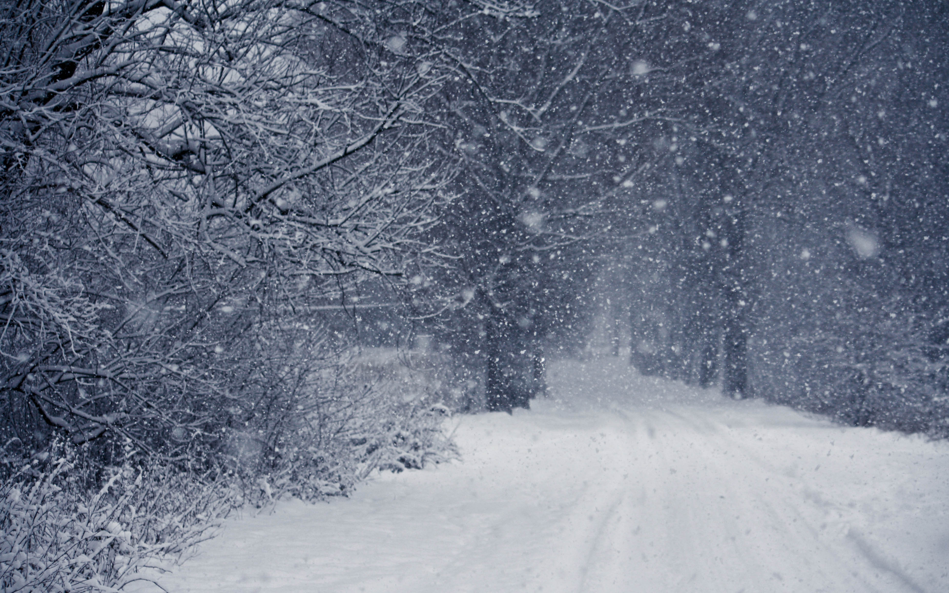 dont-eat-the-yellow-snow