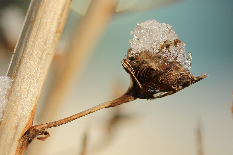 glinsterende-ijskristallen