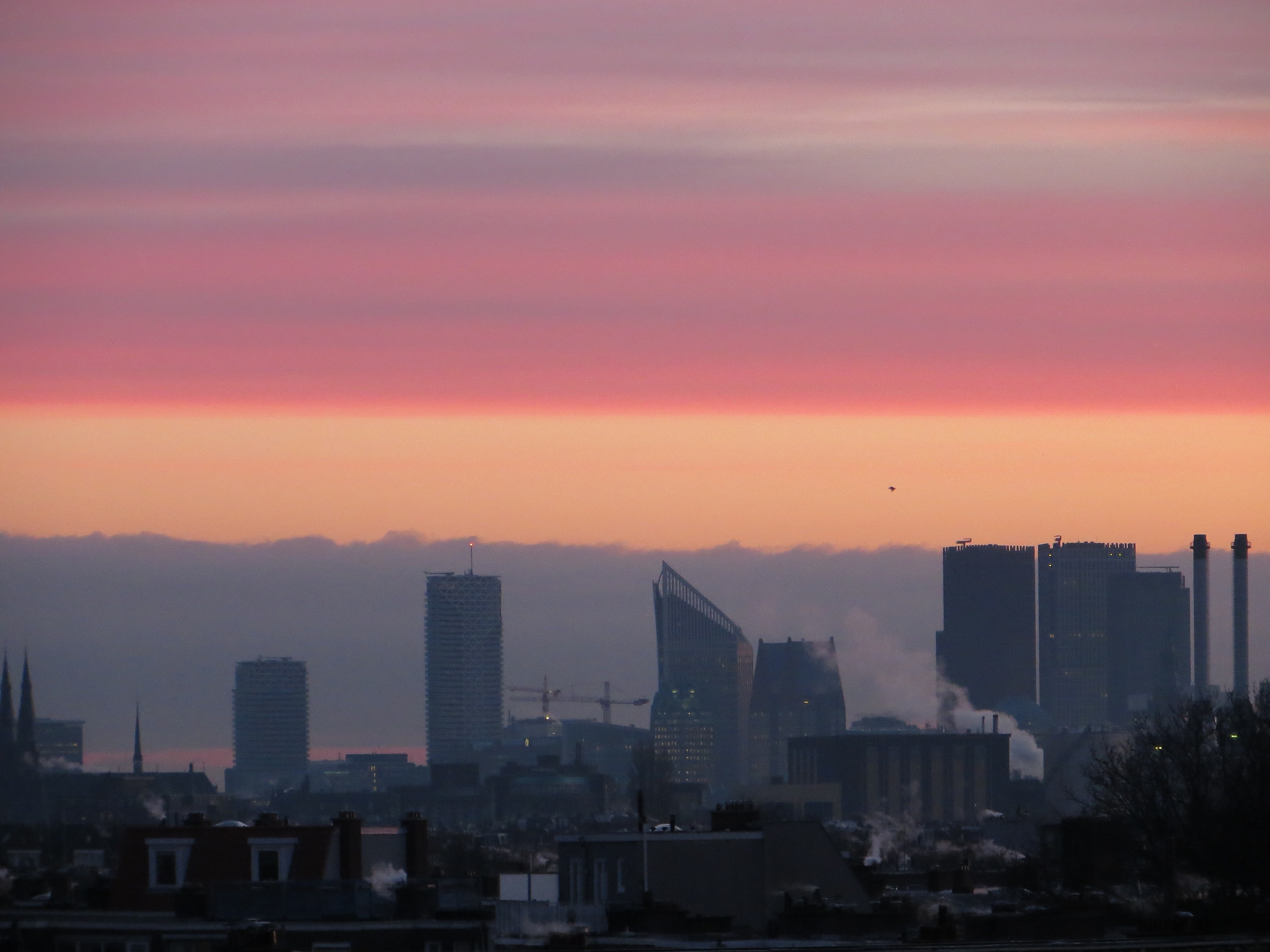 den-haag-rood-wit-blauw