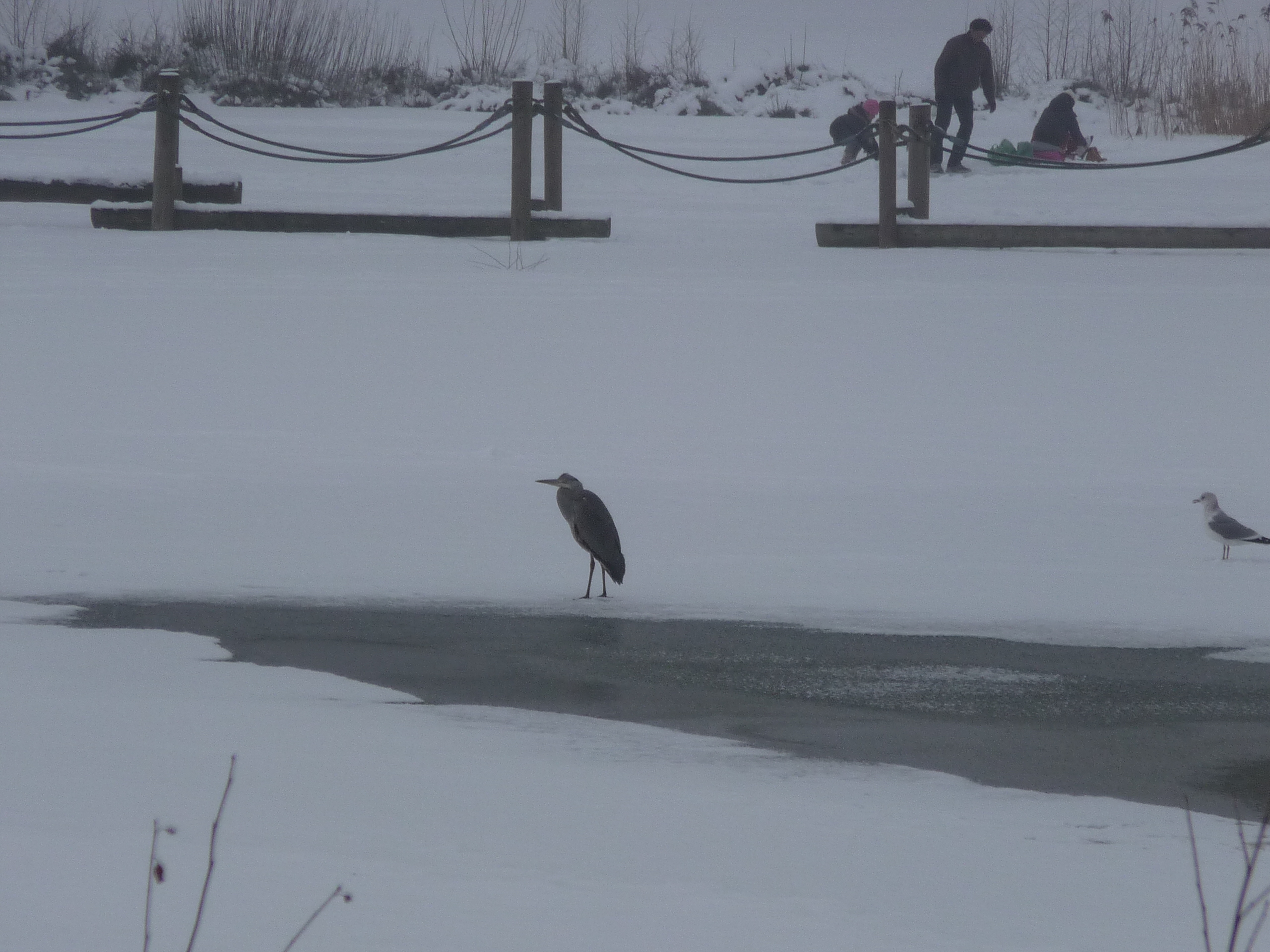 wachten-op-een-visje