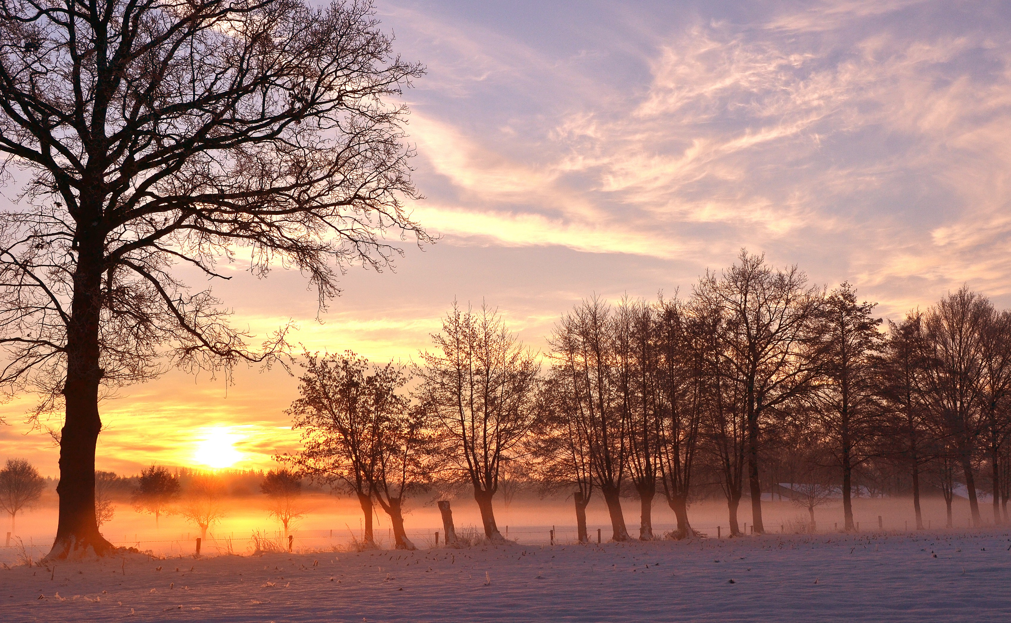 winterse-ochtendglorie-0