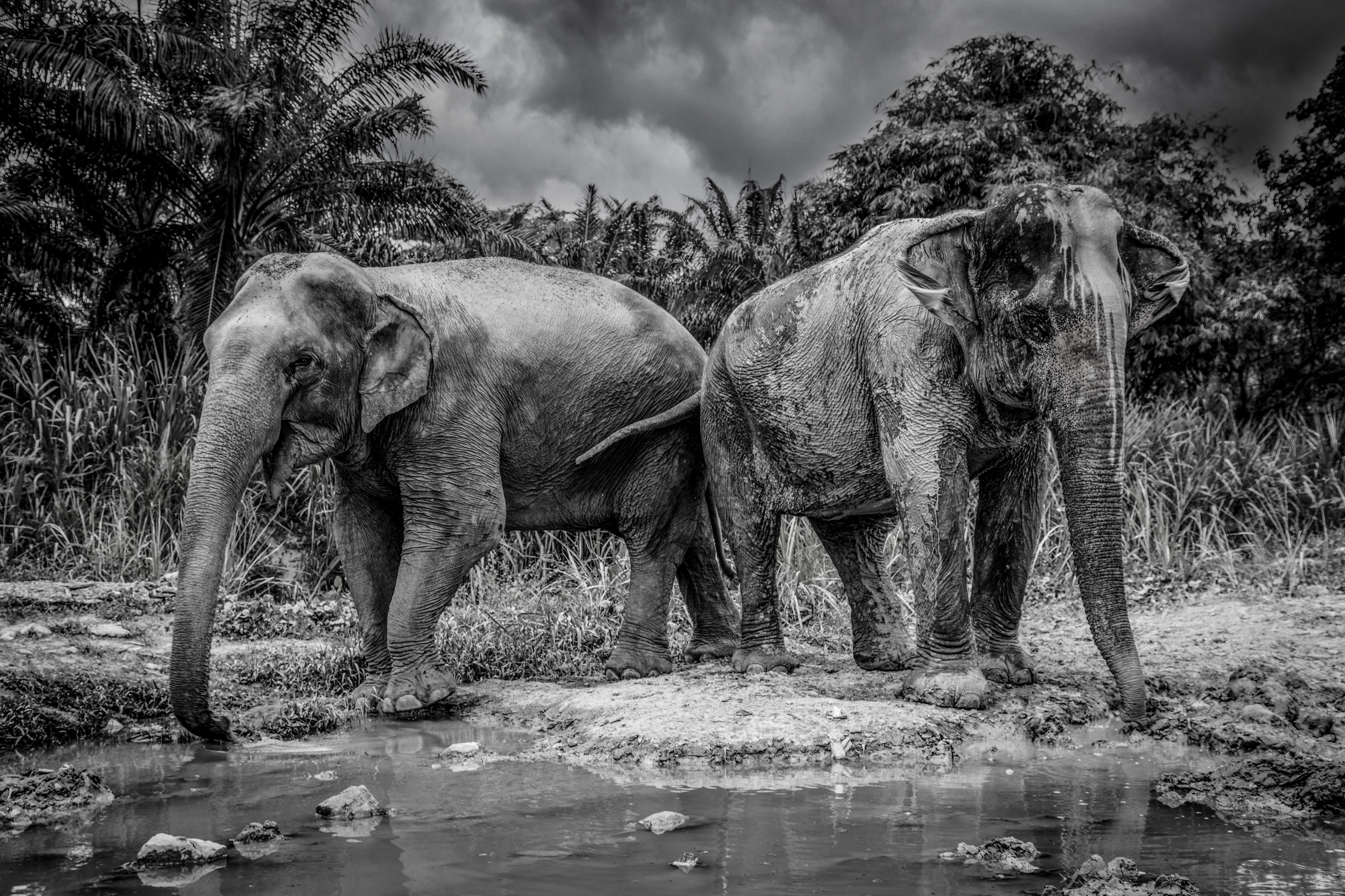 2-ladies-from-krabi