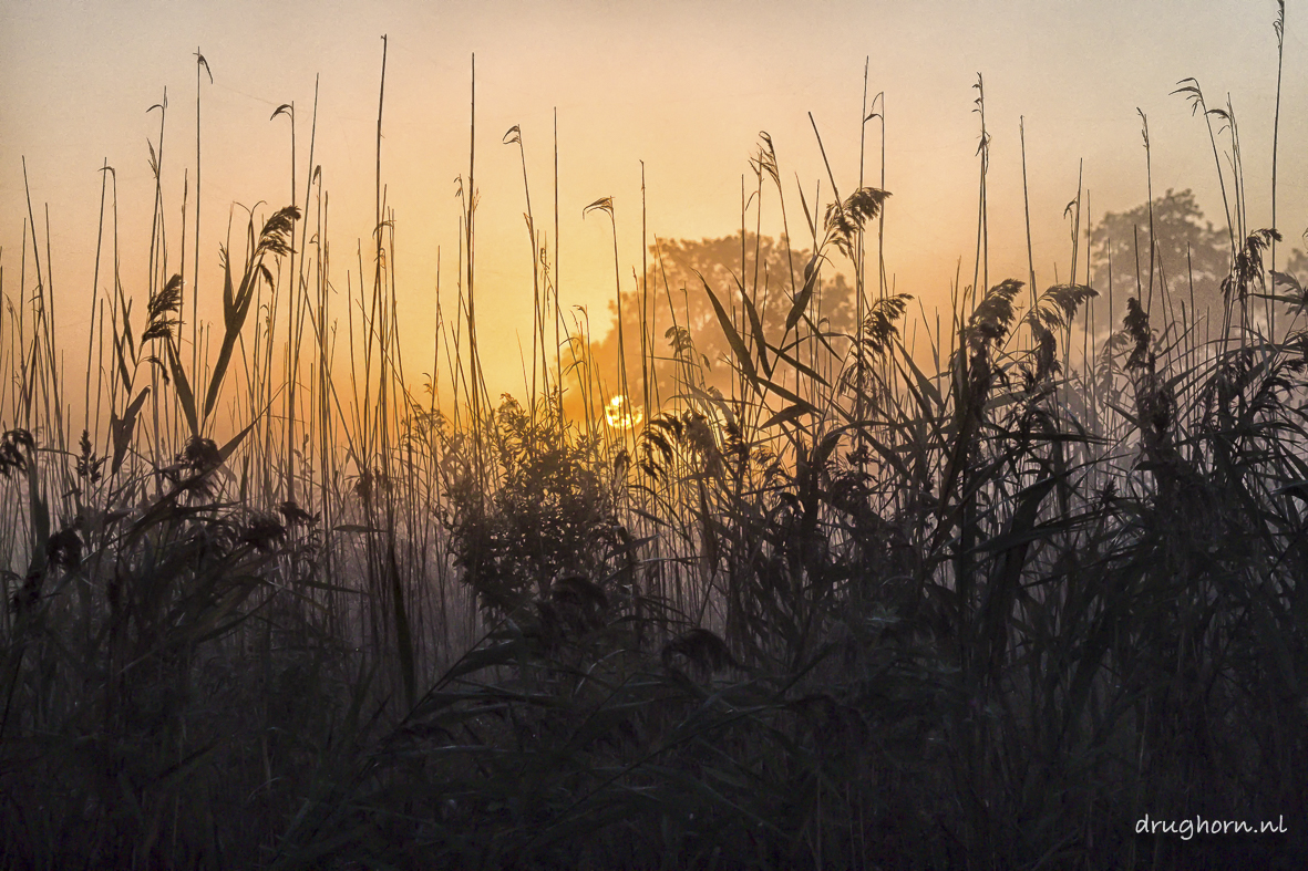 zonsopkomst-nieuwkoopse-plassen