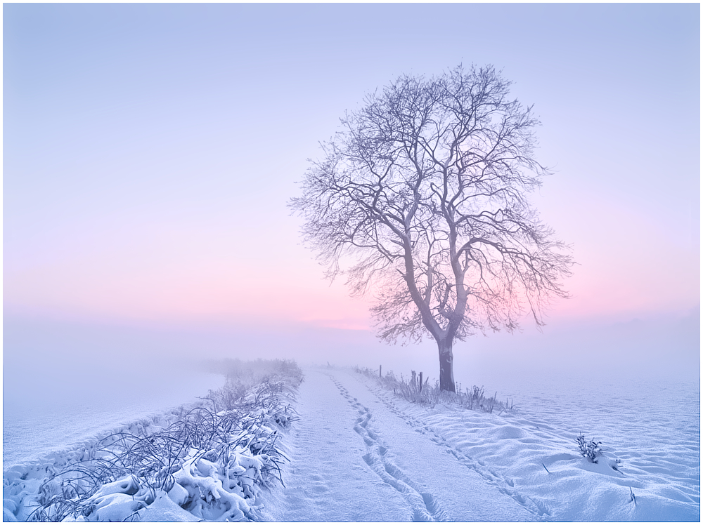 winter-wonderland-20