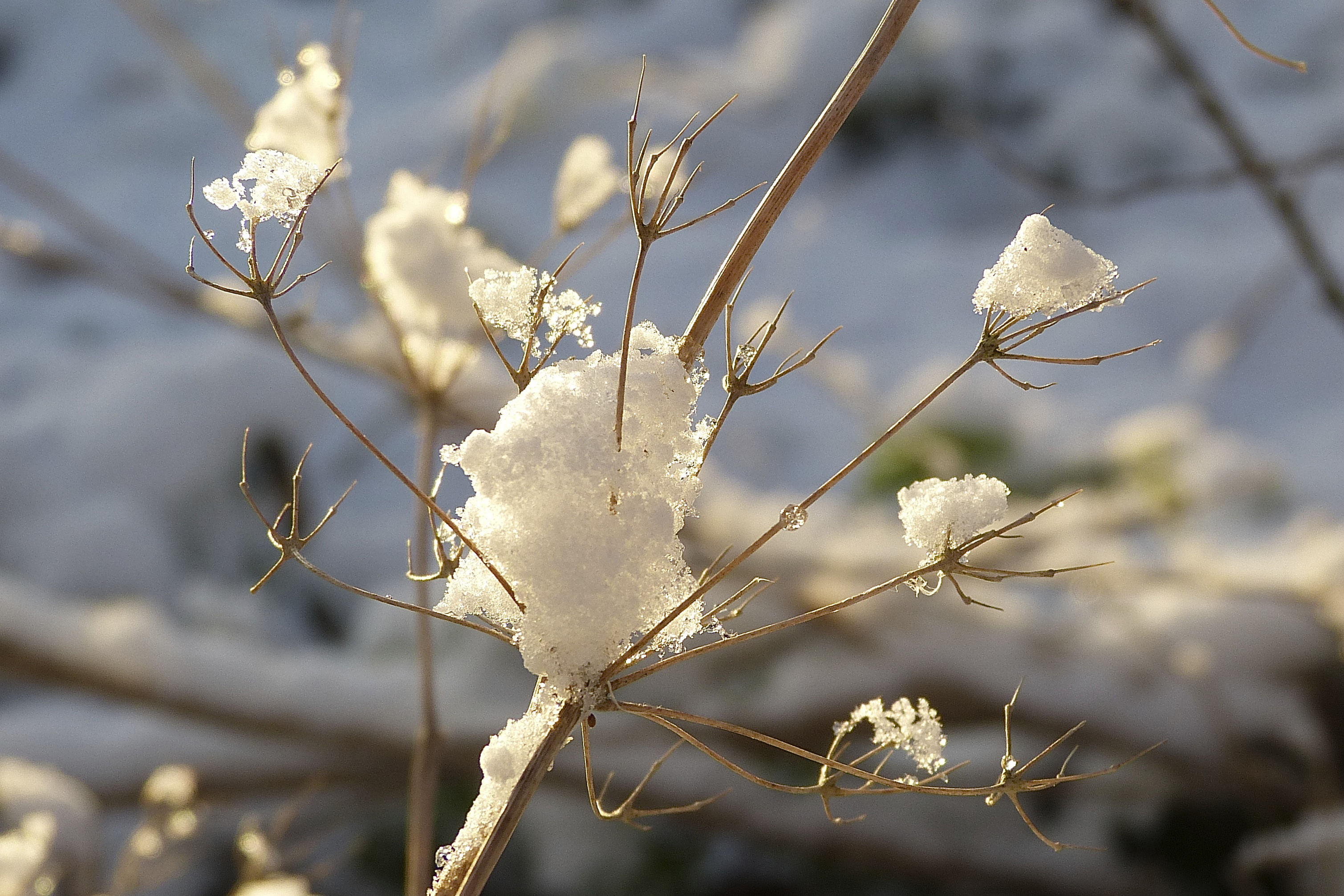 werkend-met-lichtval