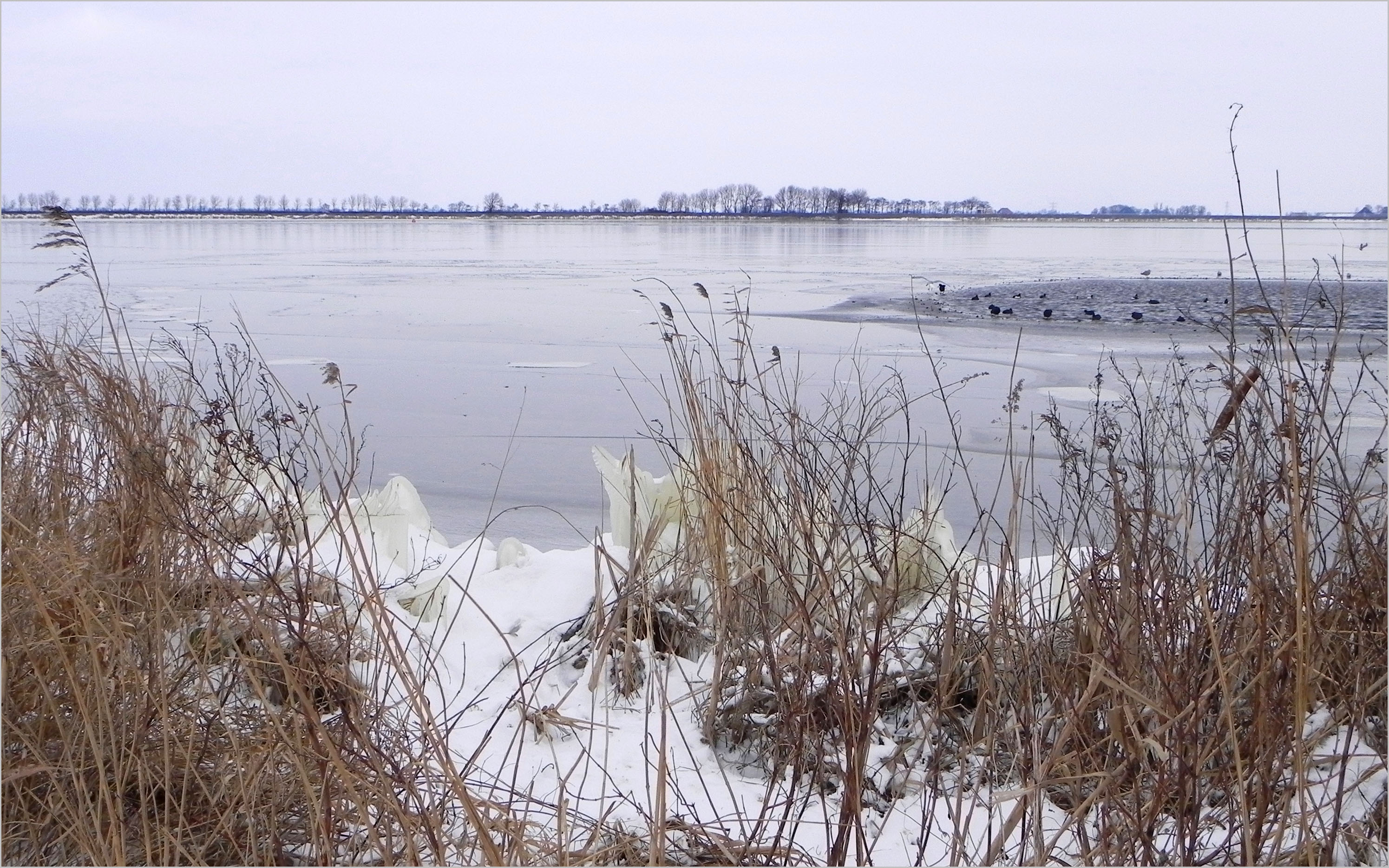 ijzige-oever-alkmaarder-meer