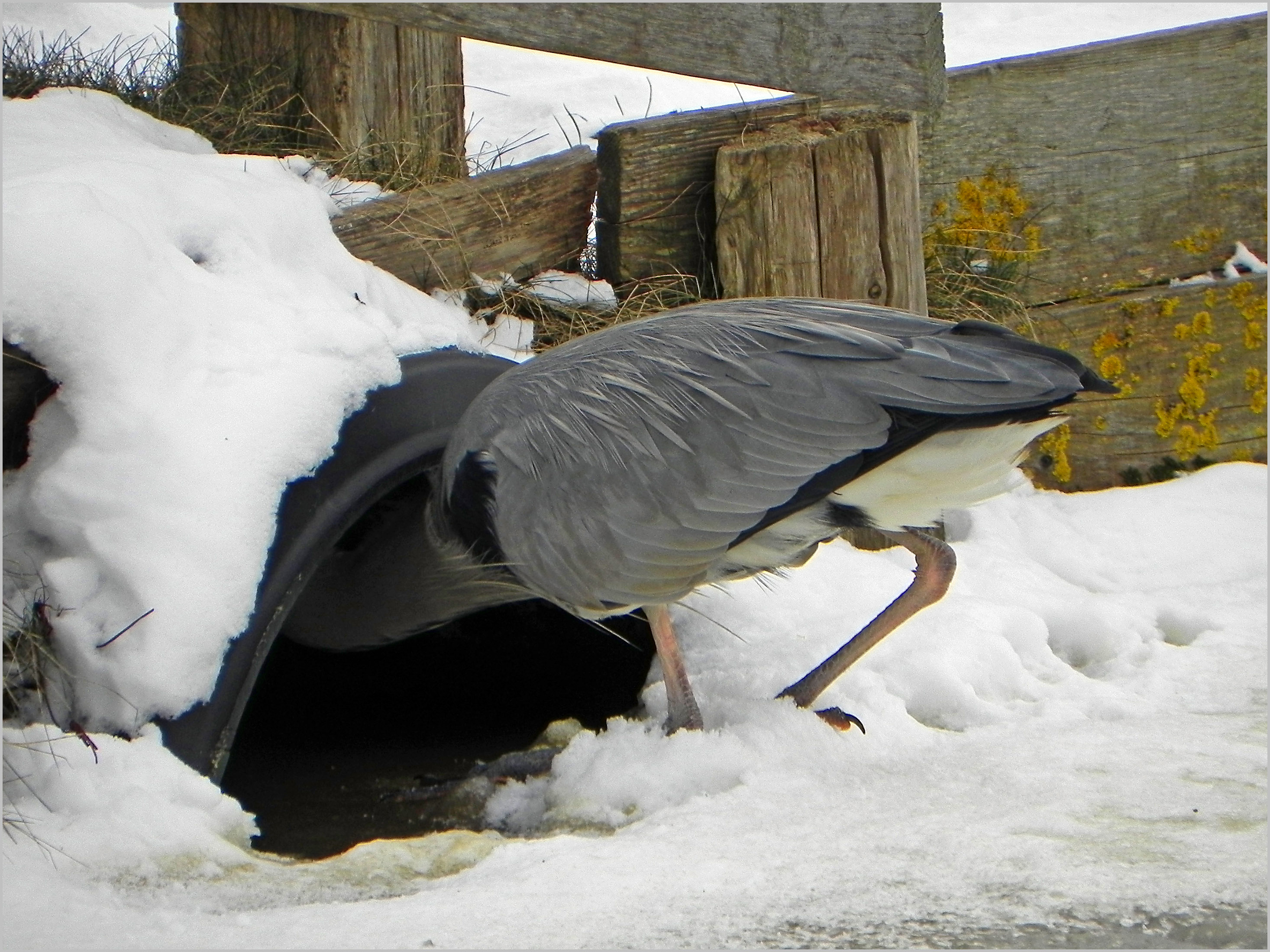 hier-nog-iets-te-eten