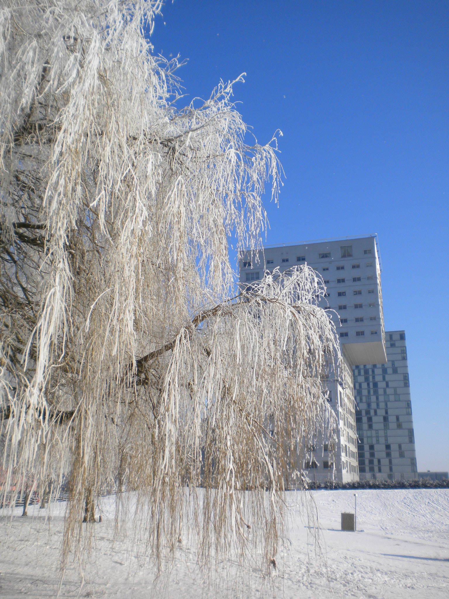 winter-2012-0