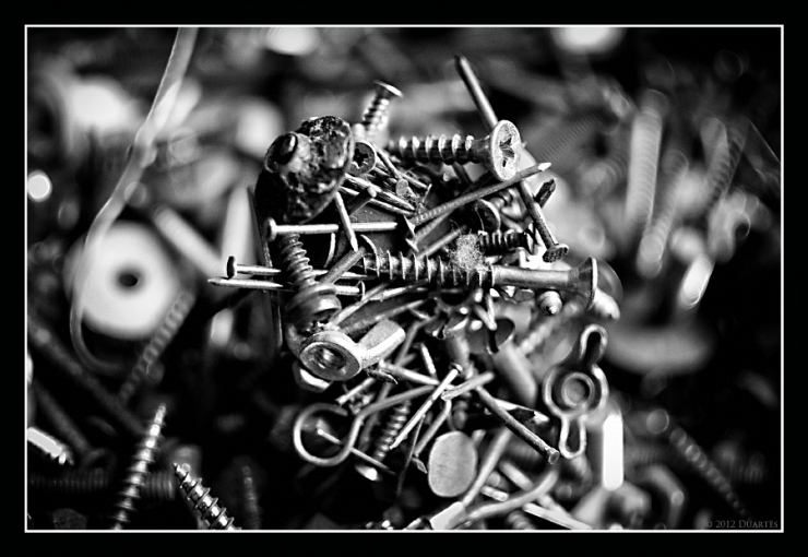 nails-and-screws