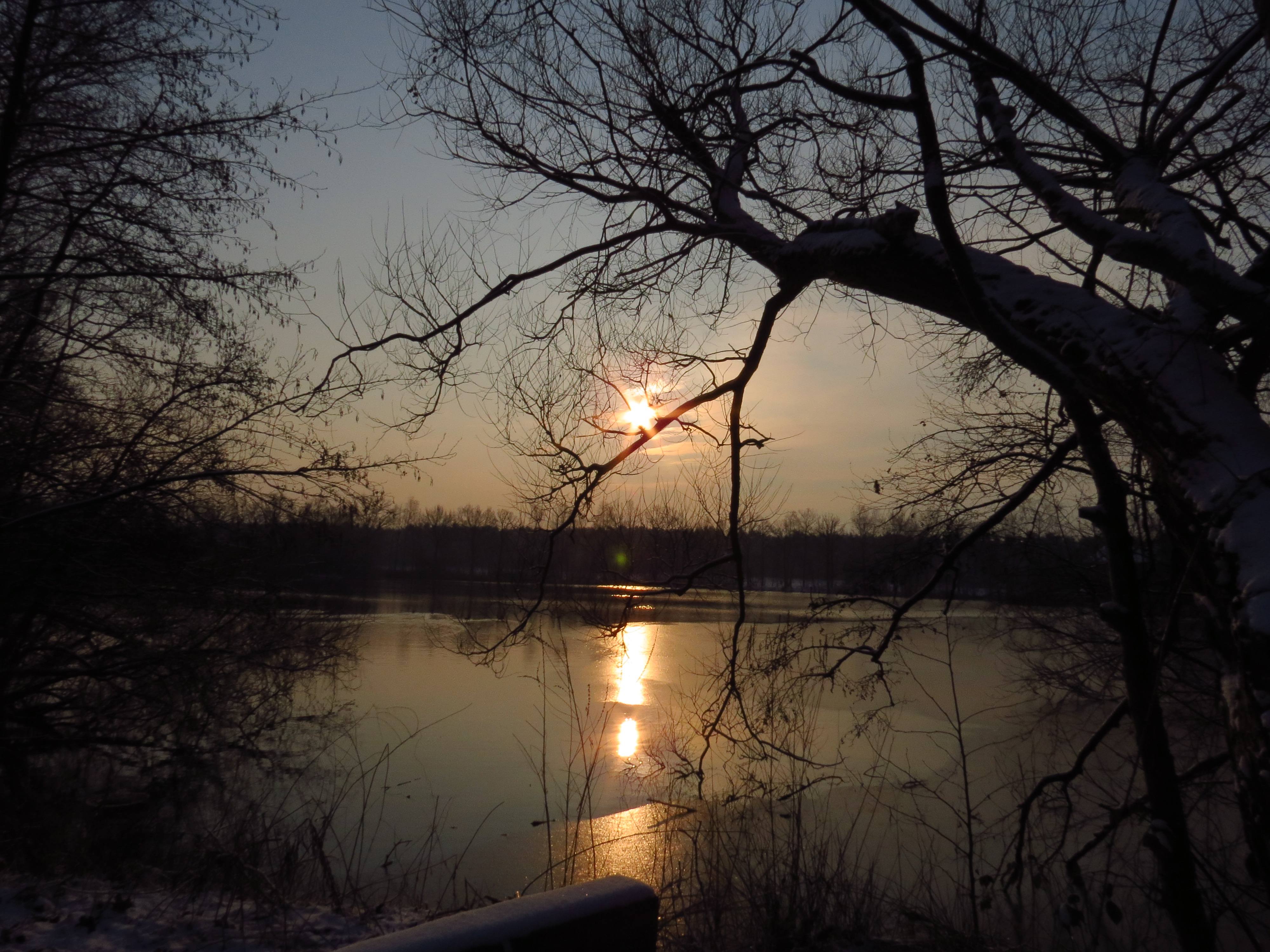 een-ster-in-de-morgen