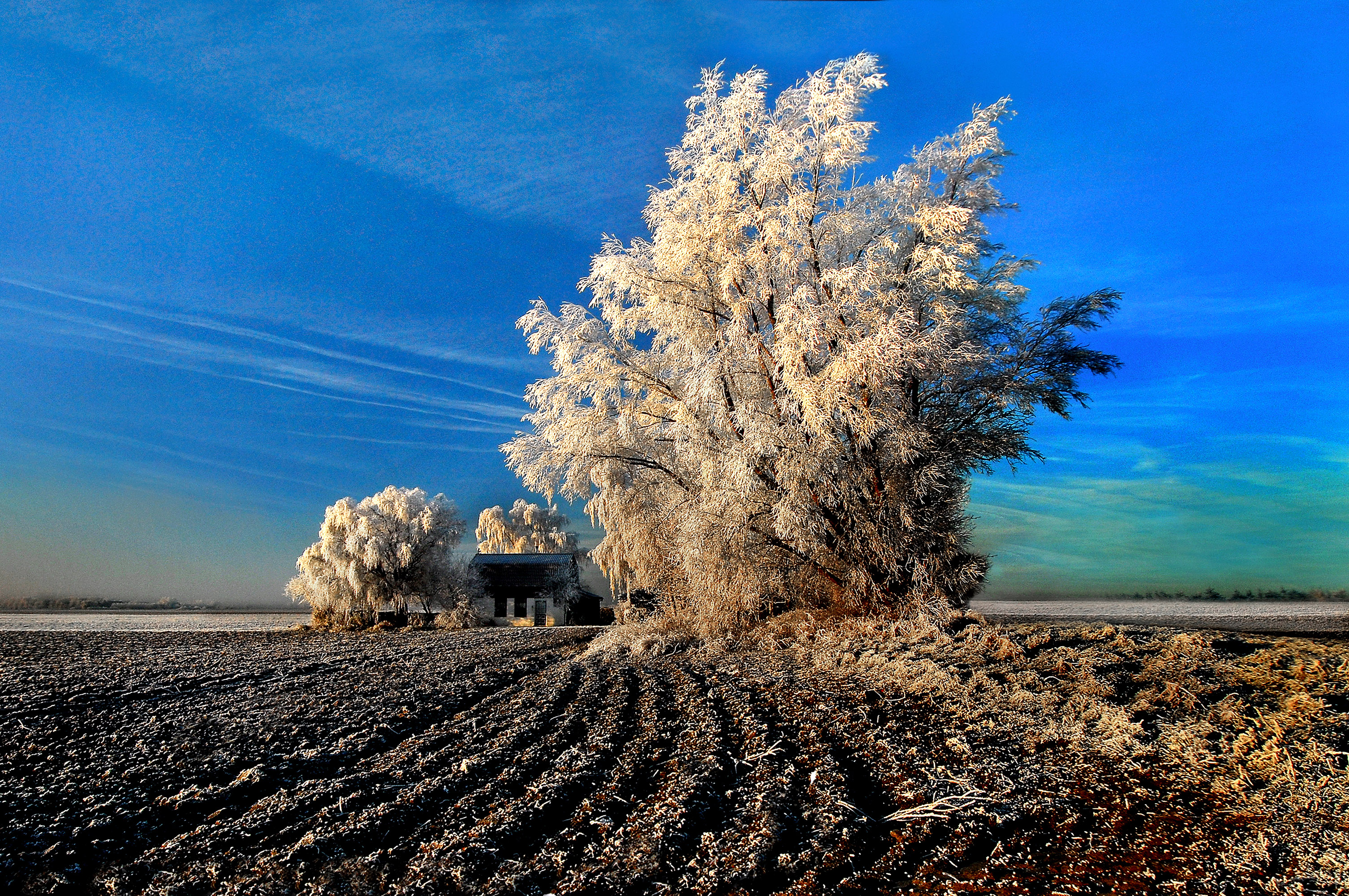 winterlandschap-oranjedijk