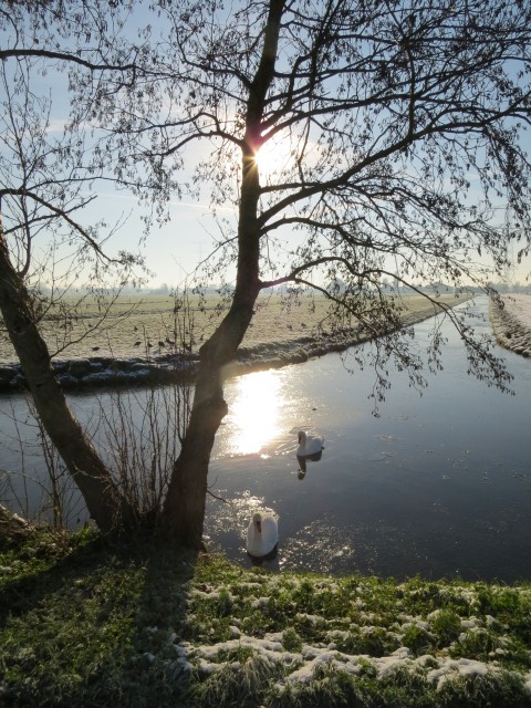 ijs-en-weder-dienende