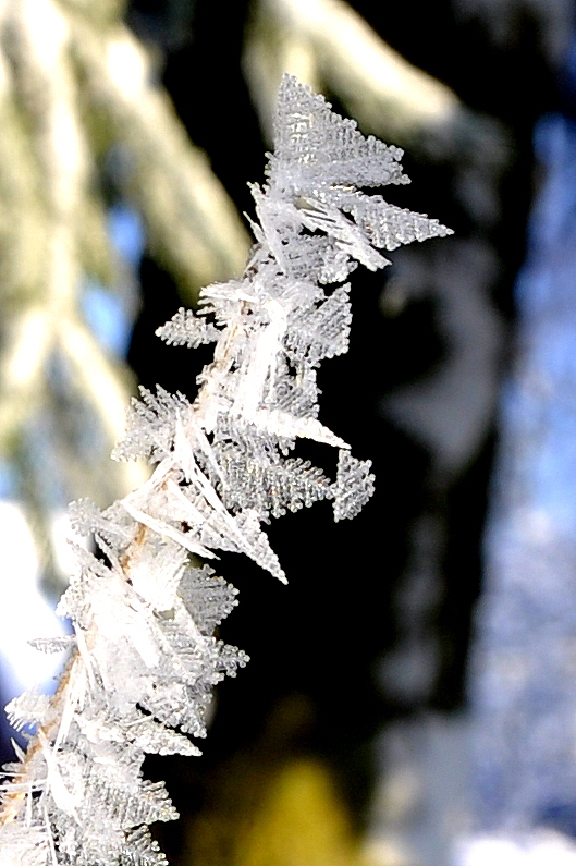 zo-helder-als-kristal