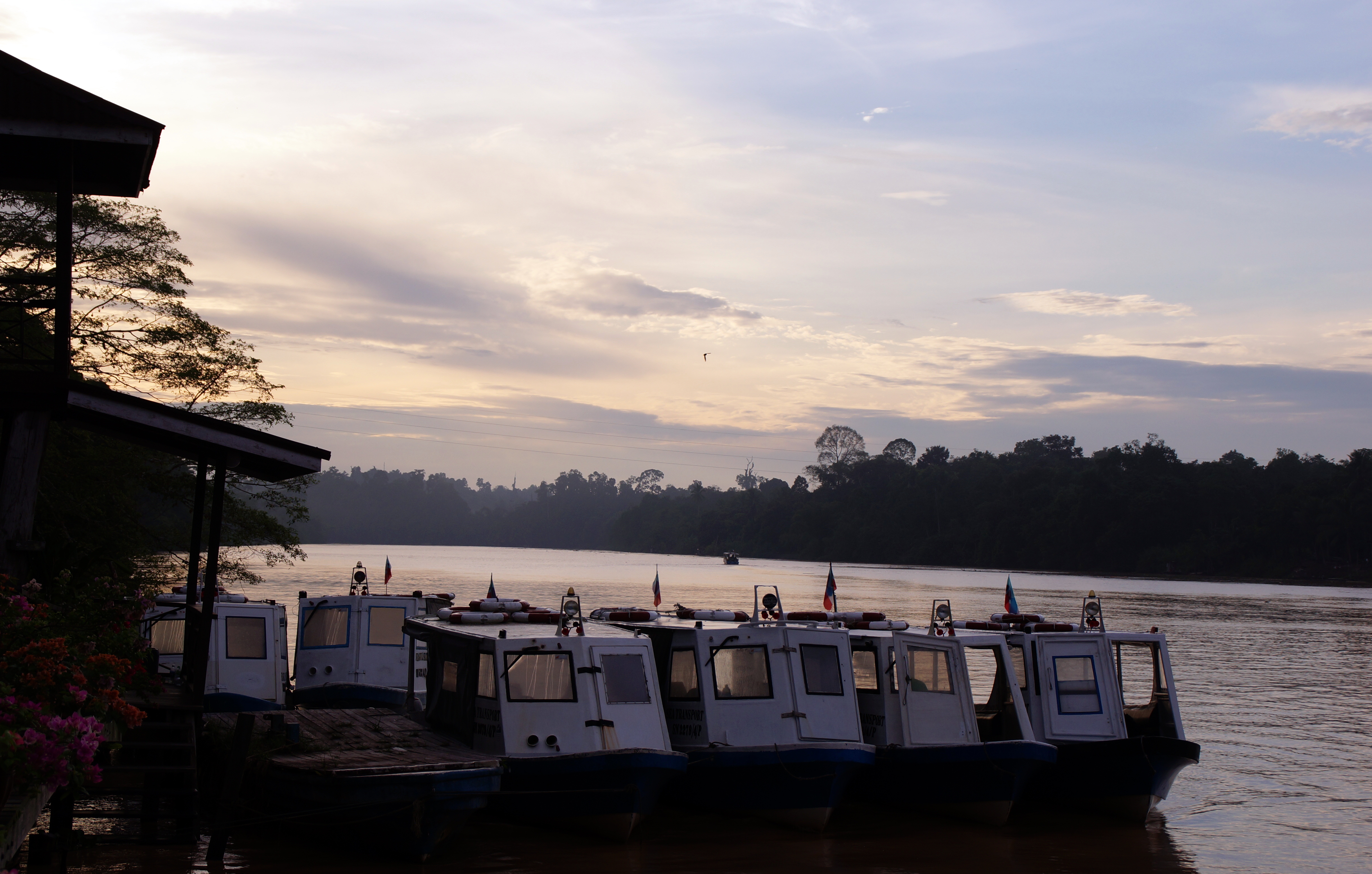 kinabatangan-river-borneo