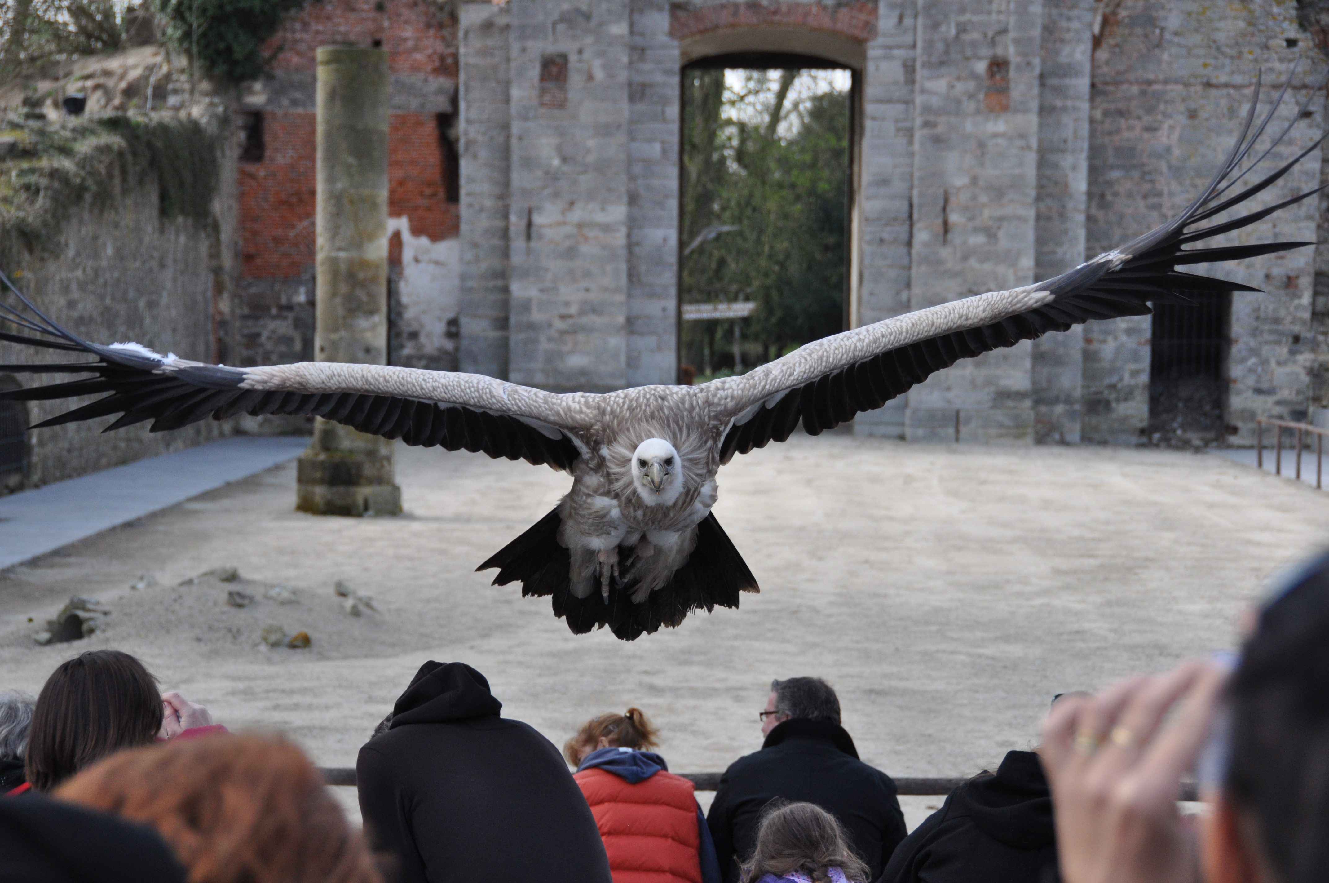 gier-tijdens-vlucht-0