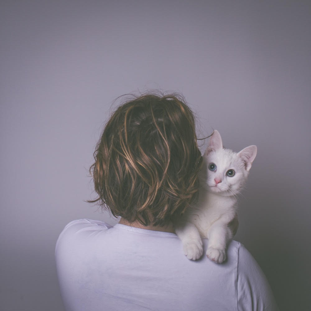 one-day-less-project